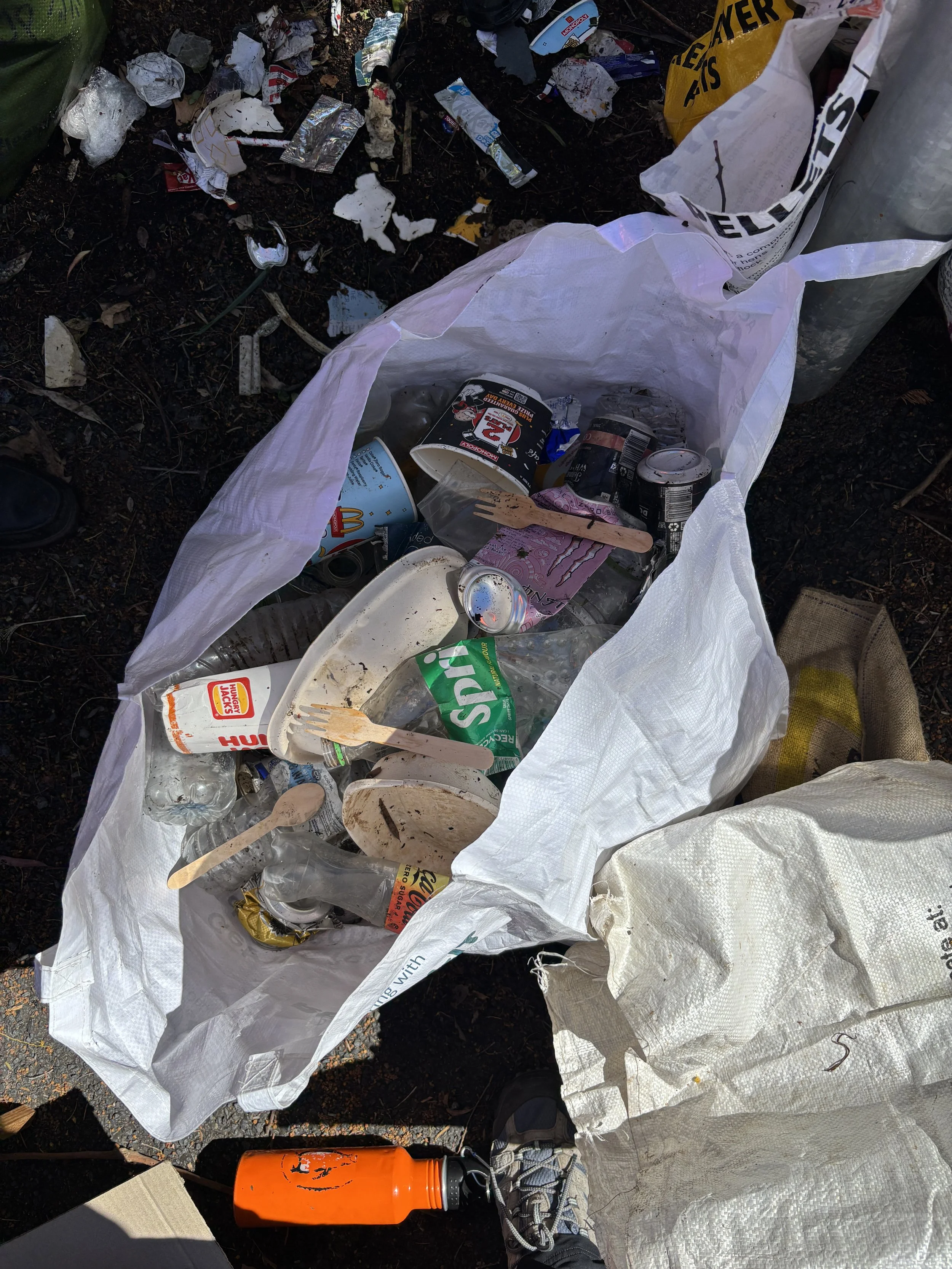 THE GREAT SPRING CLEAN UP 