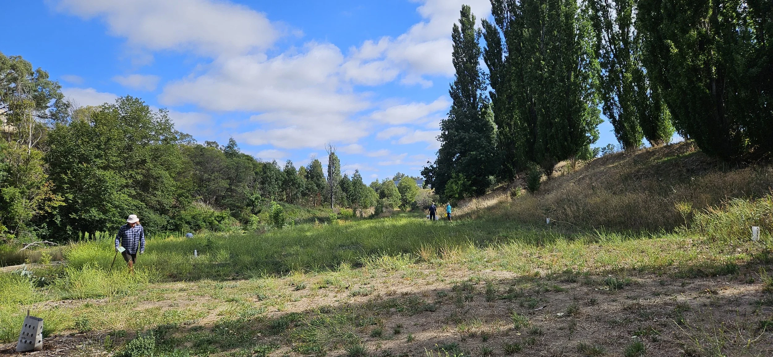 QUEANBEYAN EASTBANK WORKING GROUP 