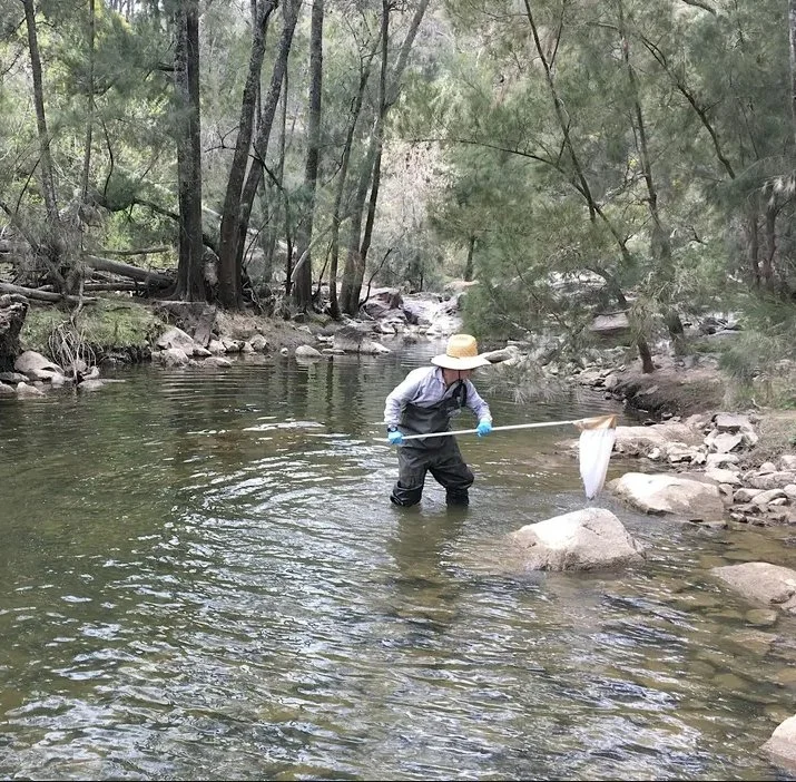 WATERBUG SURVEY QUEANBEYAN RIVER