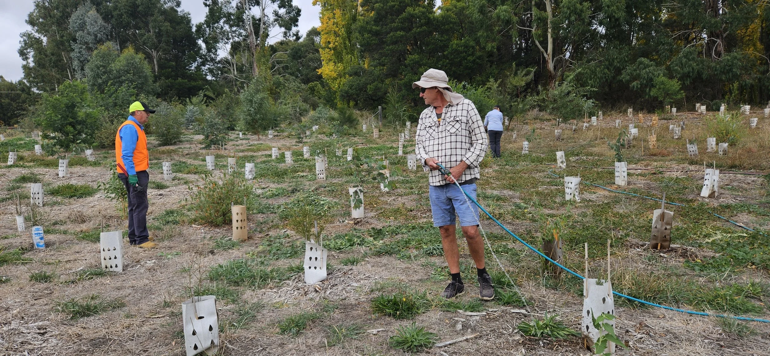 20250415_094534 1.jpg