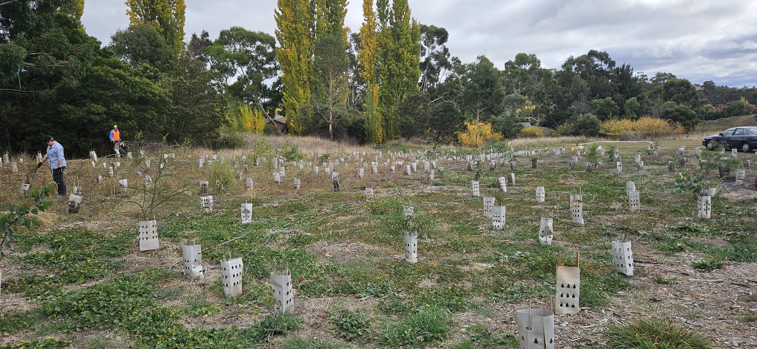 20250415_094052 1.jpg