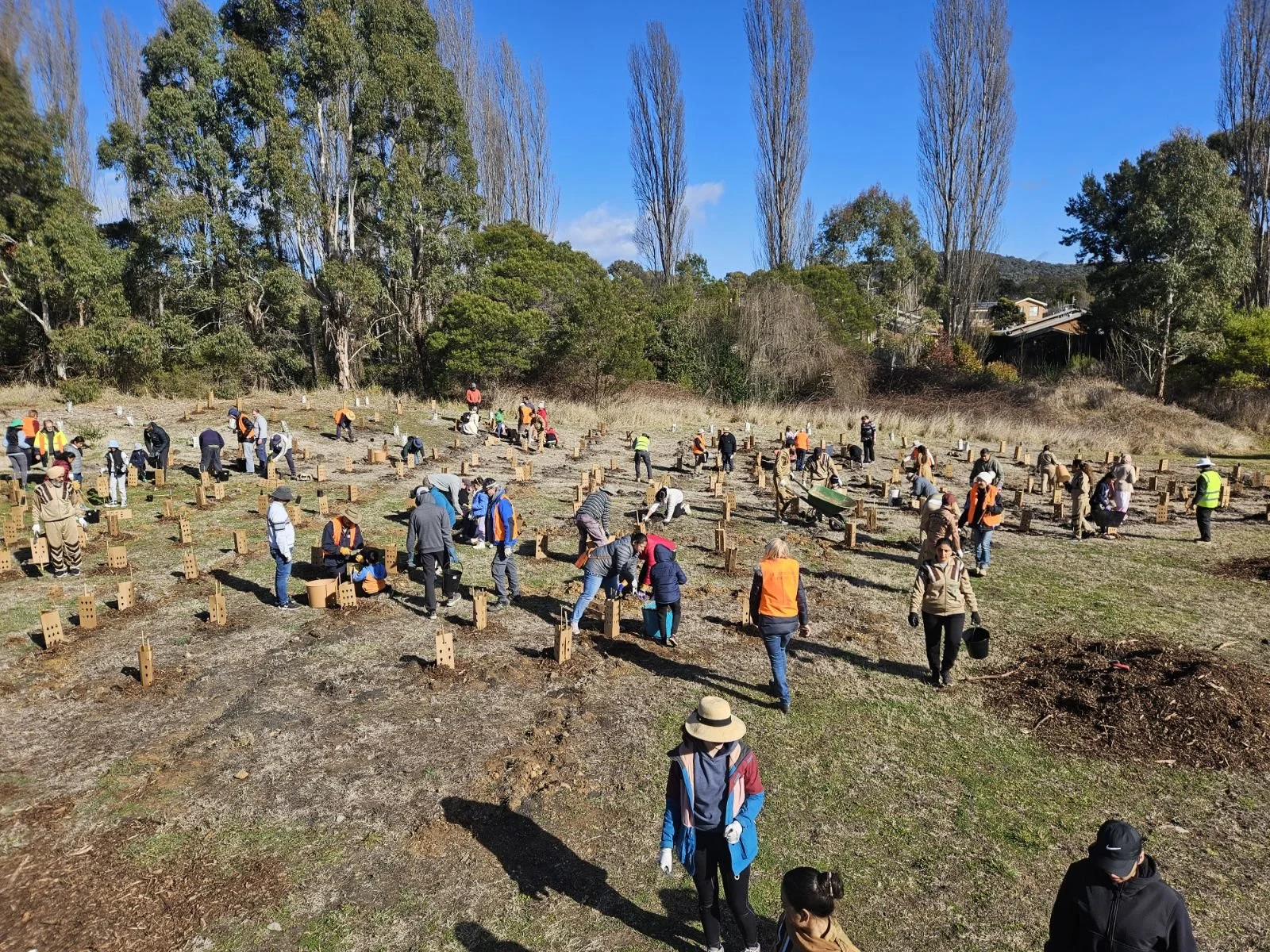 Tidy Towns - hero image.jpg