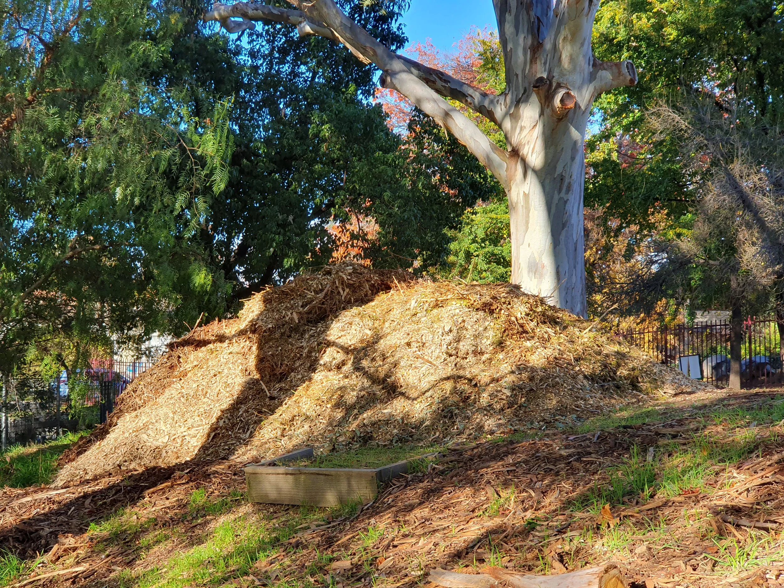Mulch pile at the start.jpg