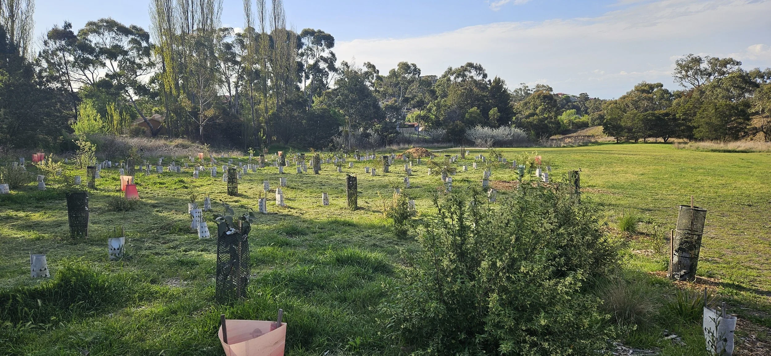 20251008_170712 1.jpg