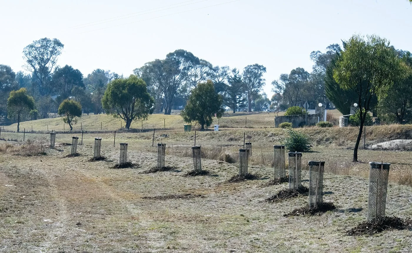 Guards 4_DSC5403.jpg