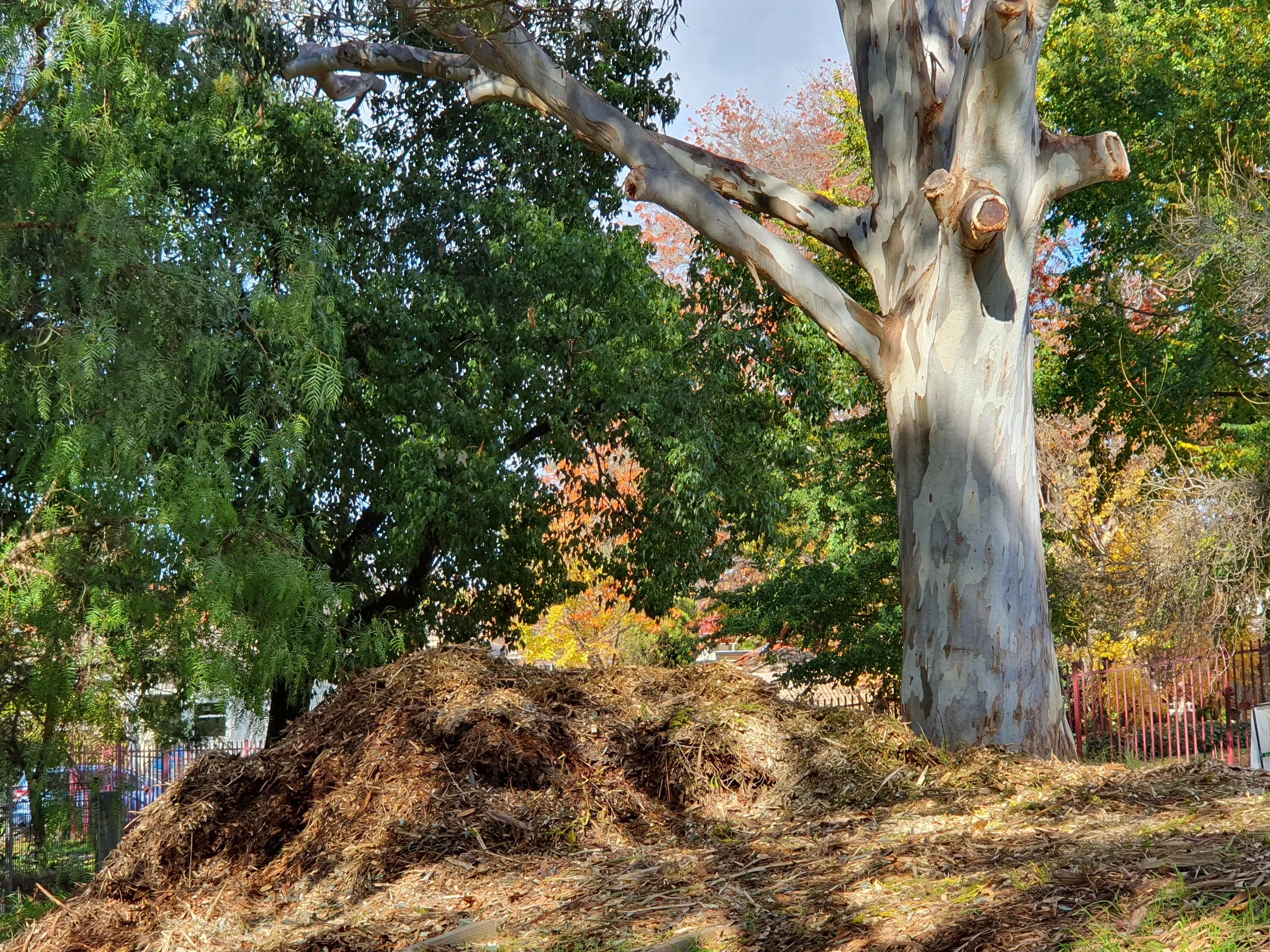 Mulch pile at the end.jpg