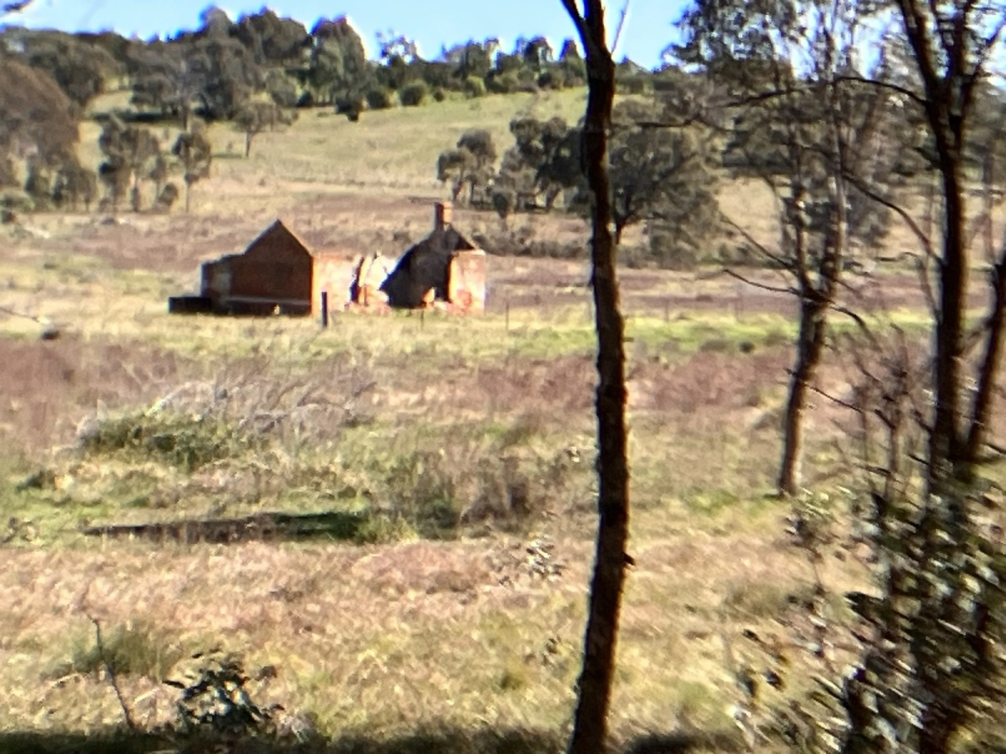 IMG_2555.JPEG