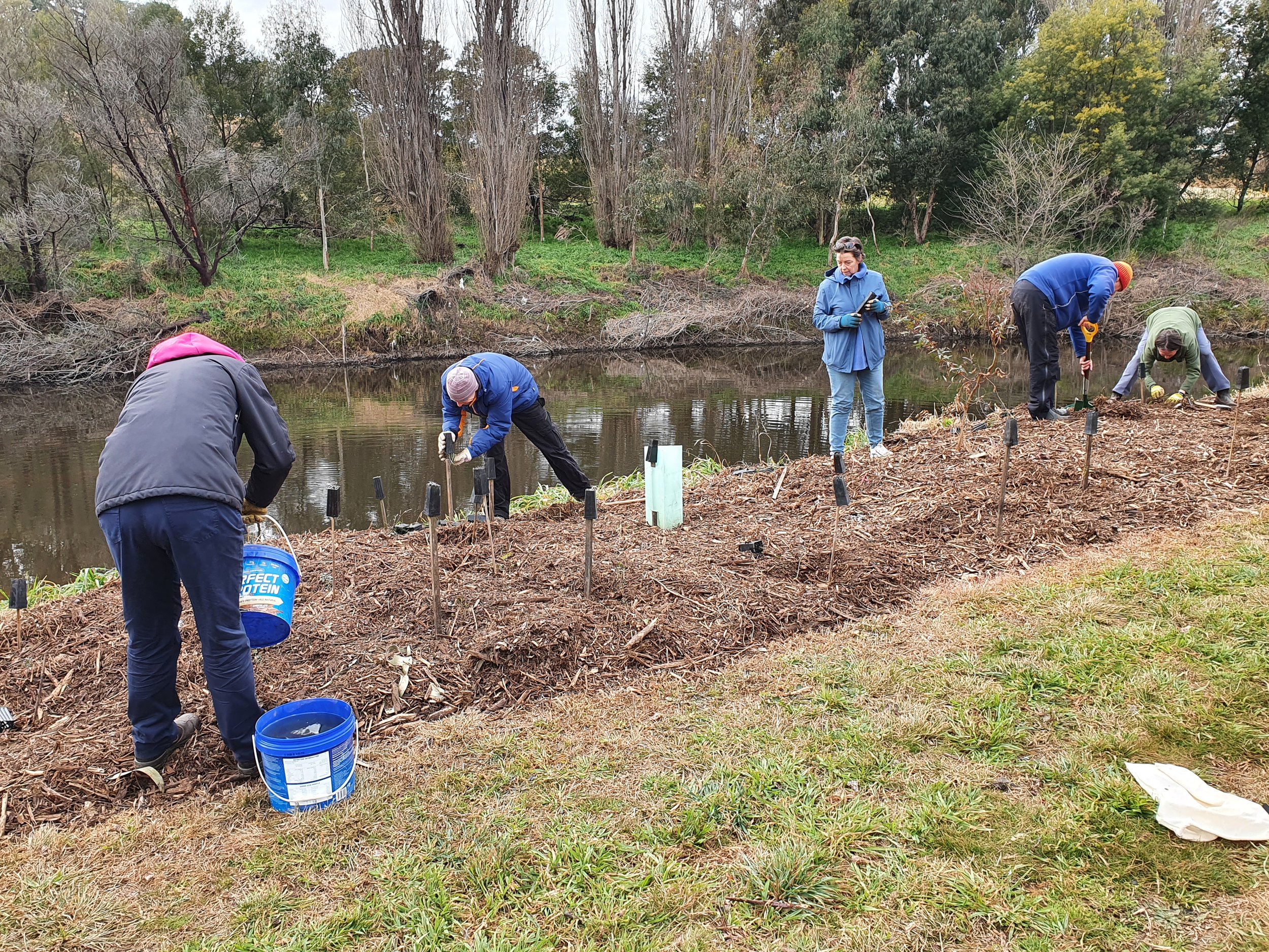 NTD2022 Area2, 5 planters 2.jpg