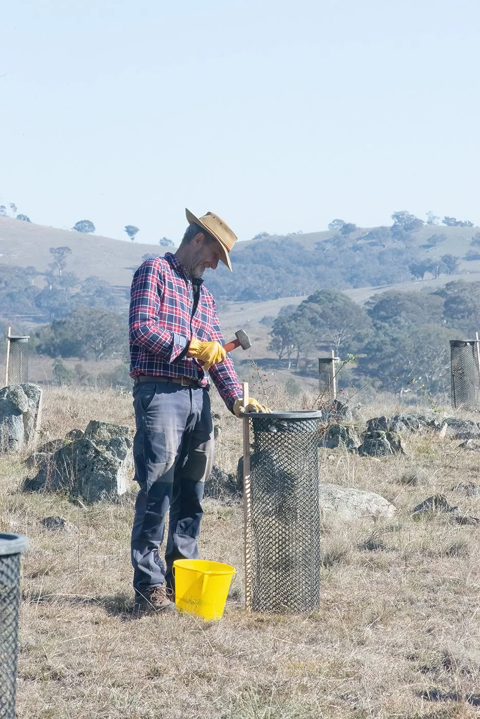 Guards 2_DSC5394.jpg