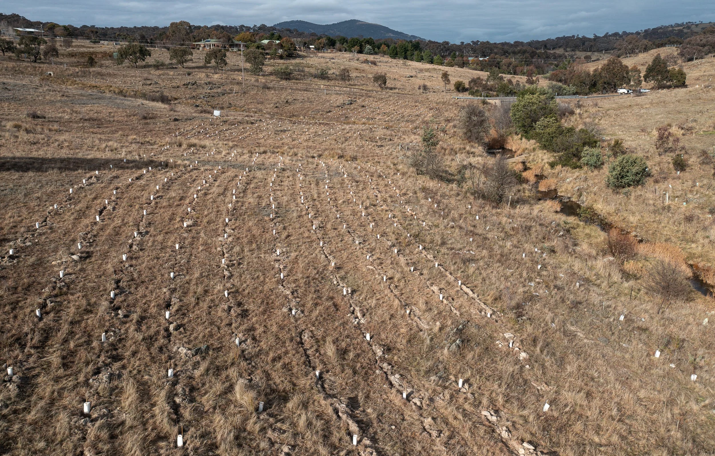 Drone 3 Joel Johnsson June 2023.jpg