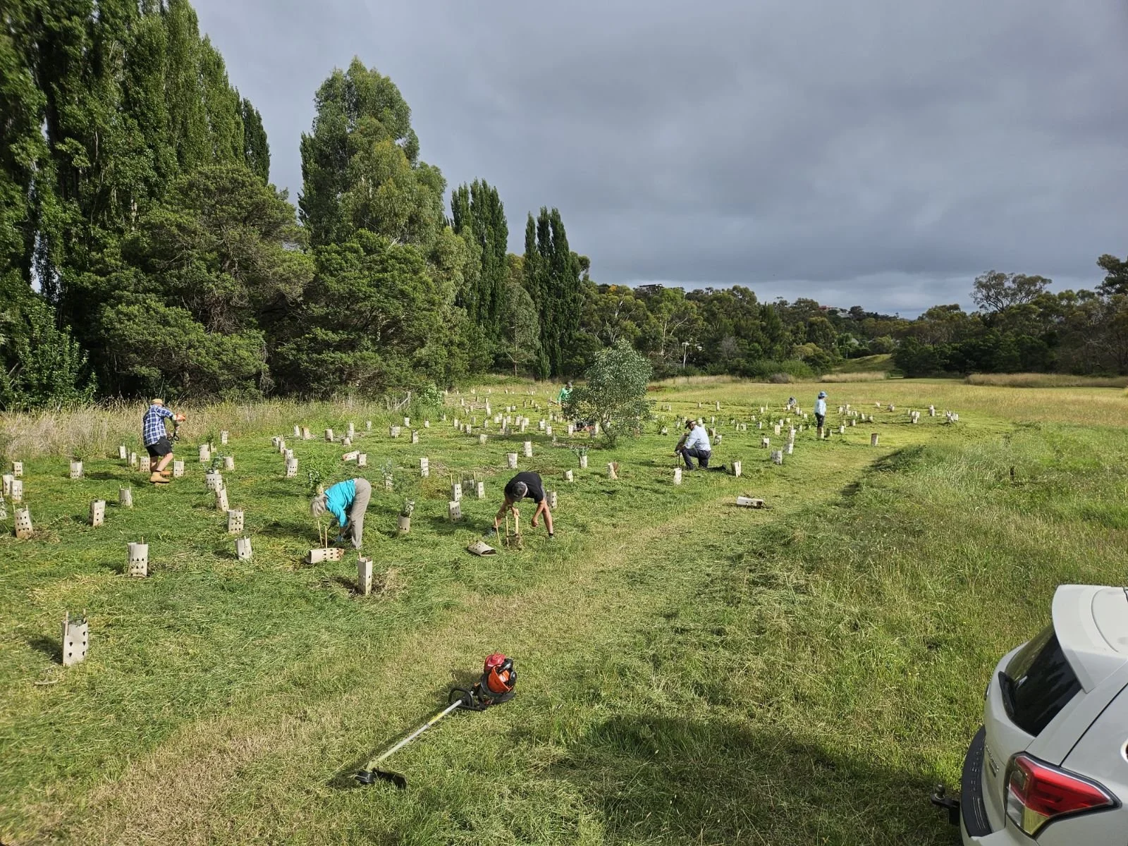 Jan - weeding & mowing.jpg
