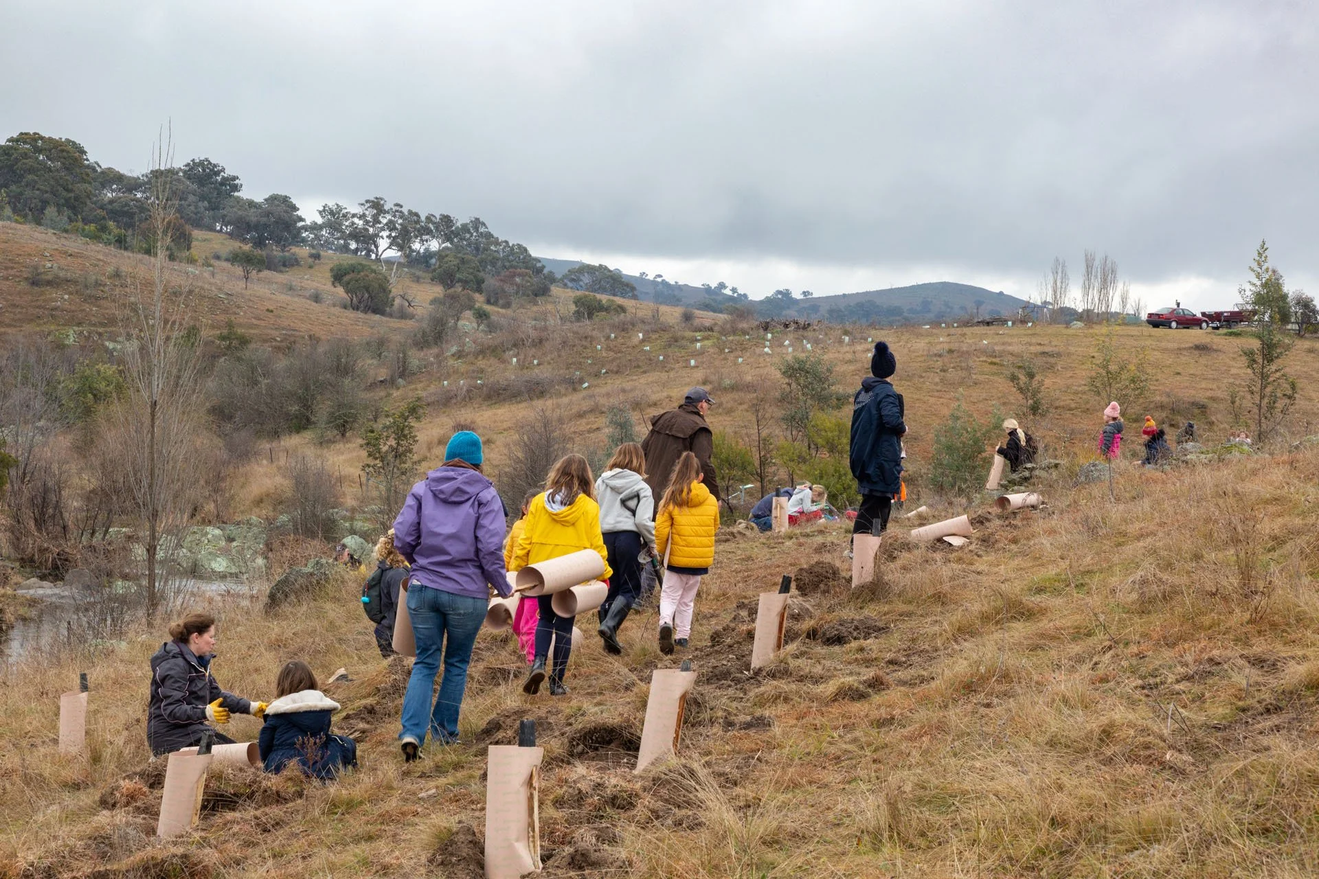 20210801 Queanbeyan Landcare - tree planting-36.jpg