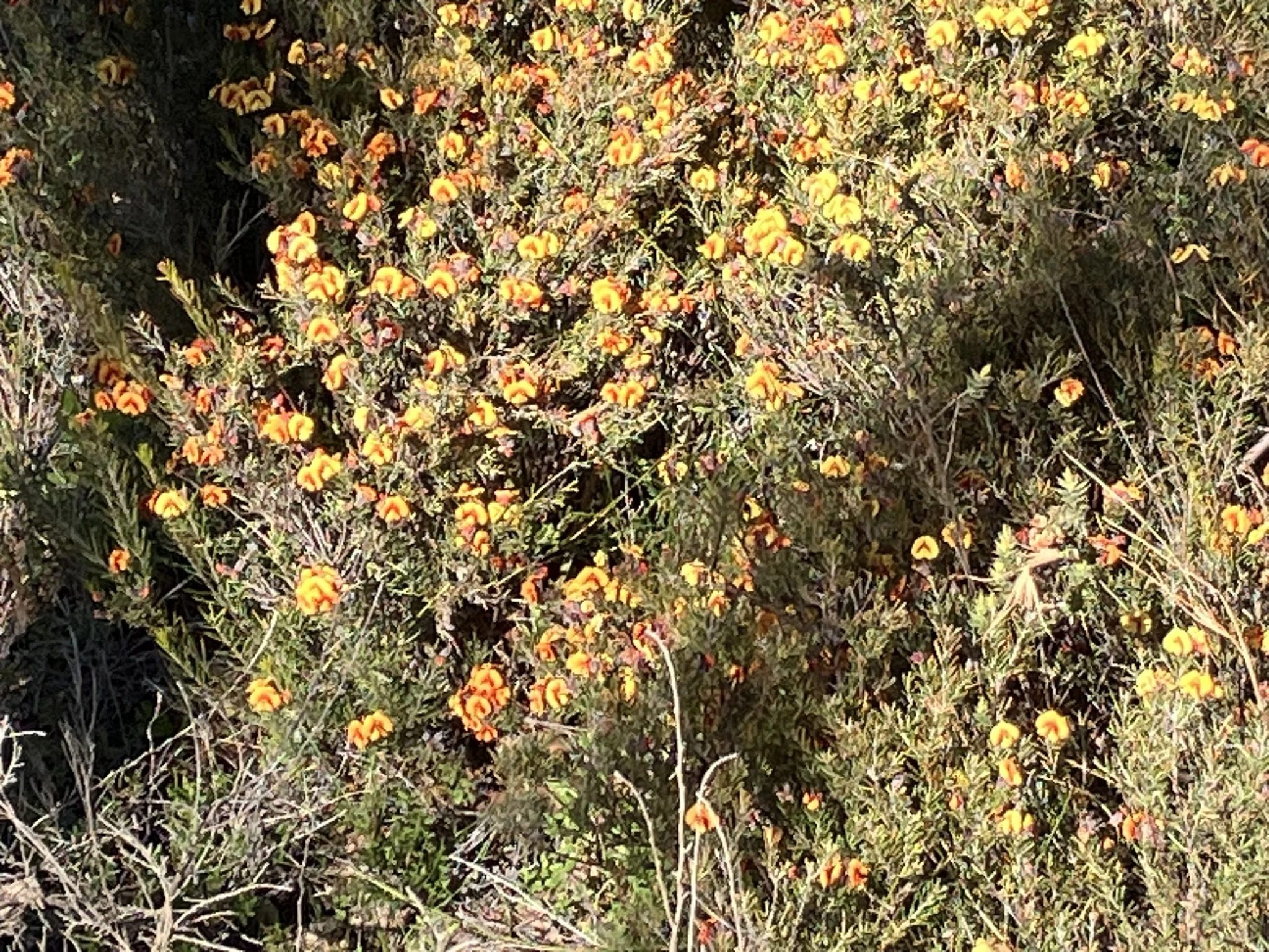 IMG_2540.JPEG