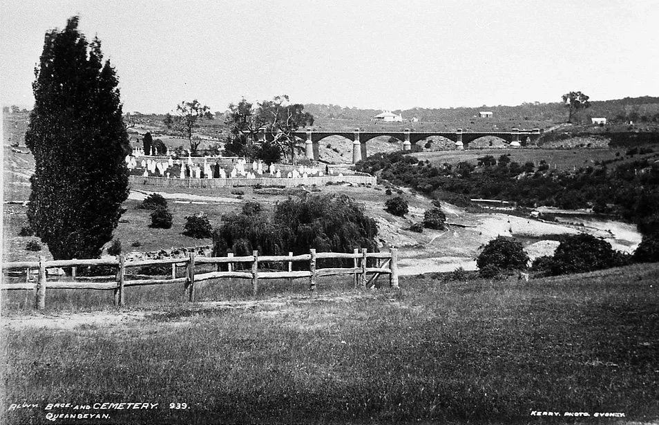 Trees for Queanbeyan & Monaro Conservation Society History — Queanbeyan ...
