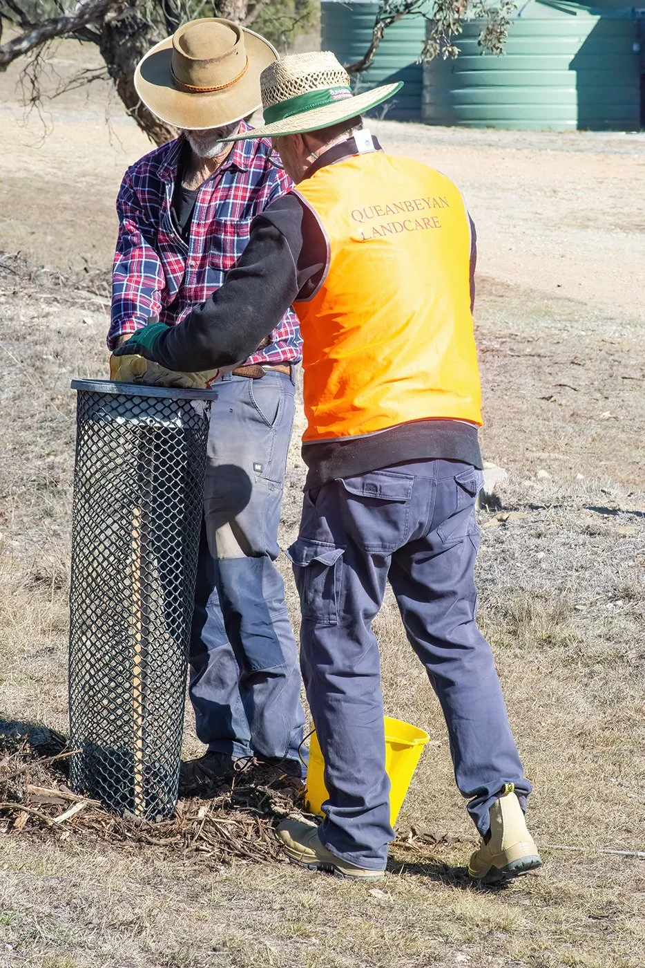 Guards 3_DSC5400.jpg