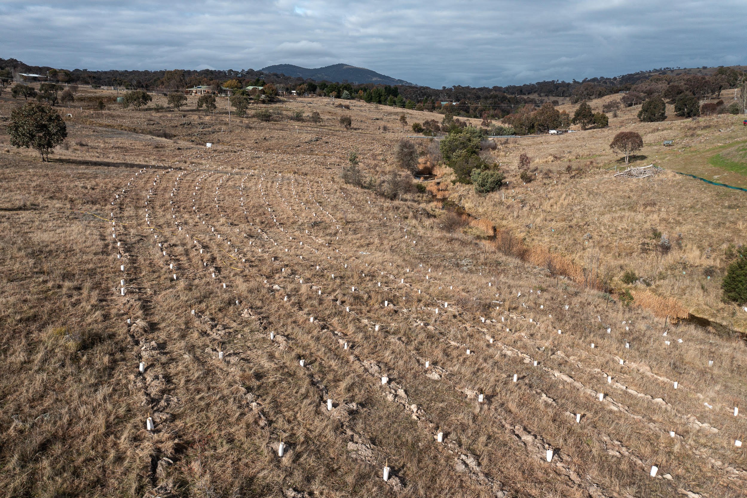 Drone 2 Joel Johnsson June 2023.jpg