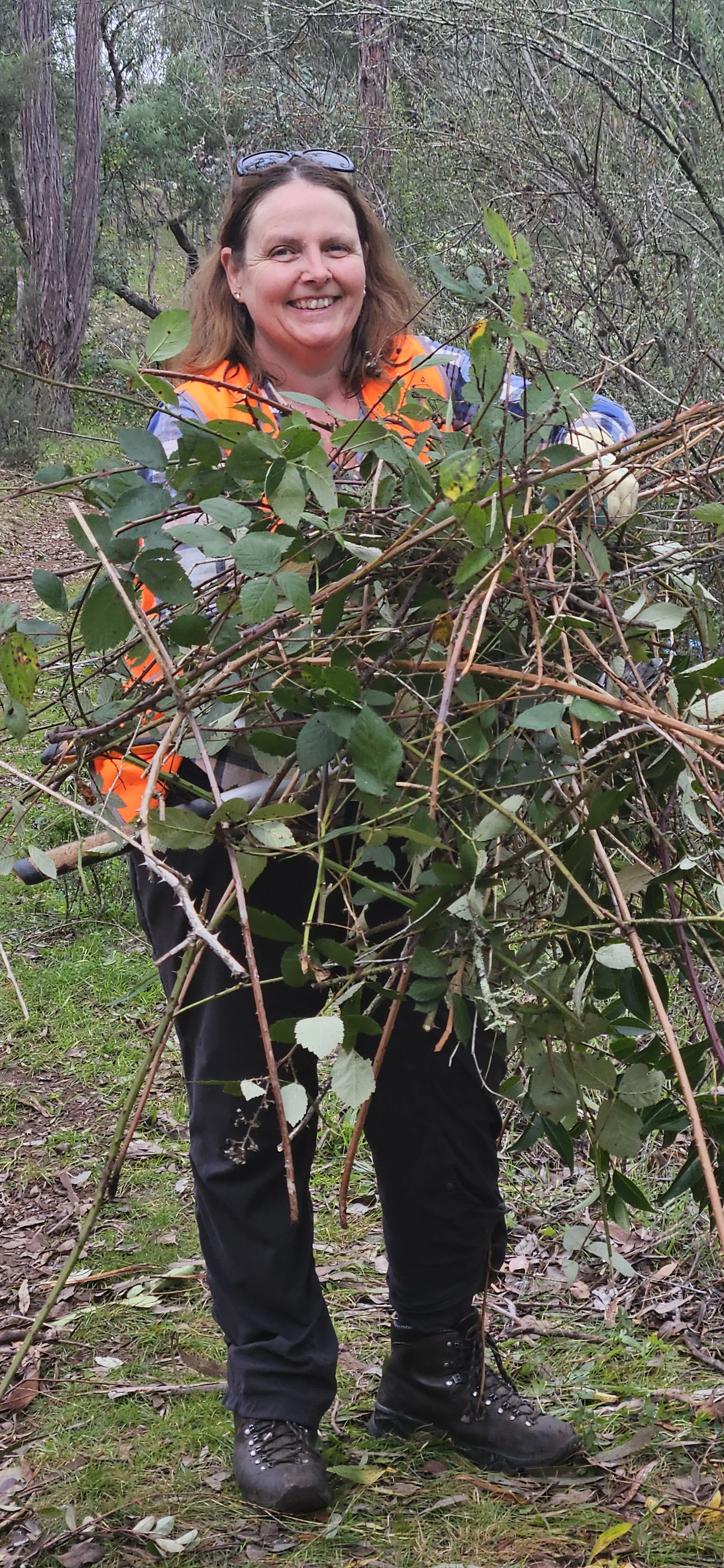 A stack of weeds.jpg