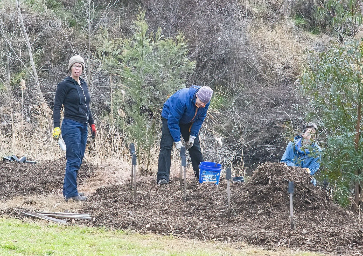 Area 2 Tom's family.jpg