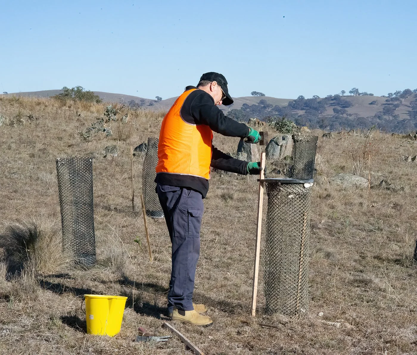 Guards 1_DSC5389.jpg