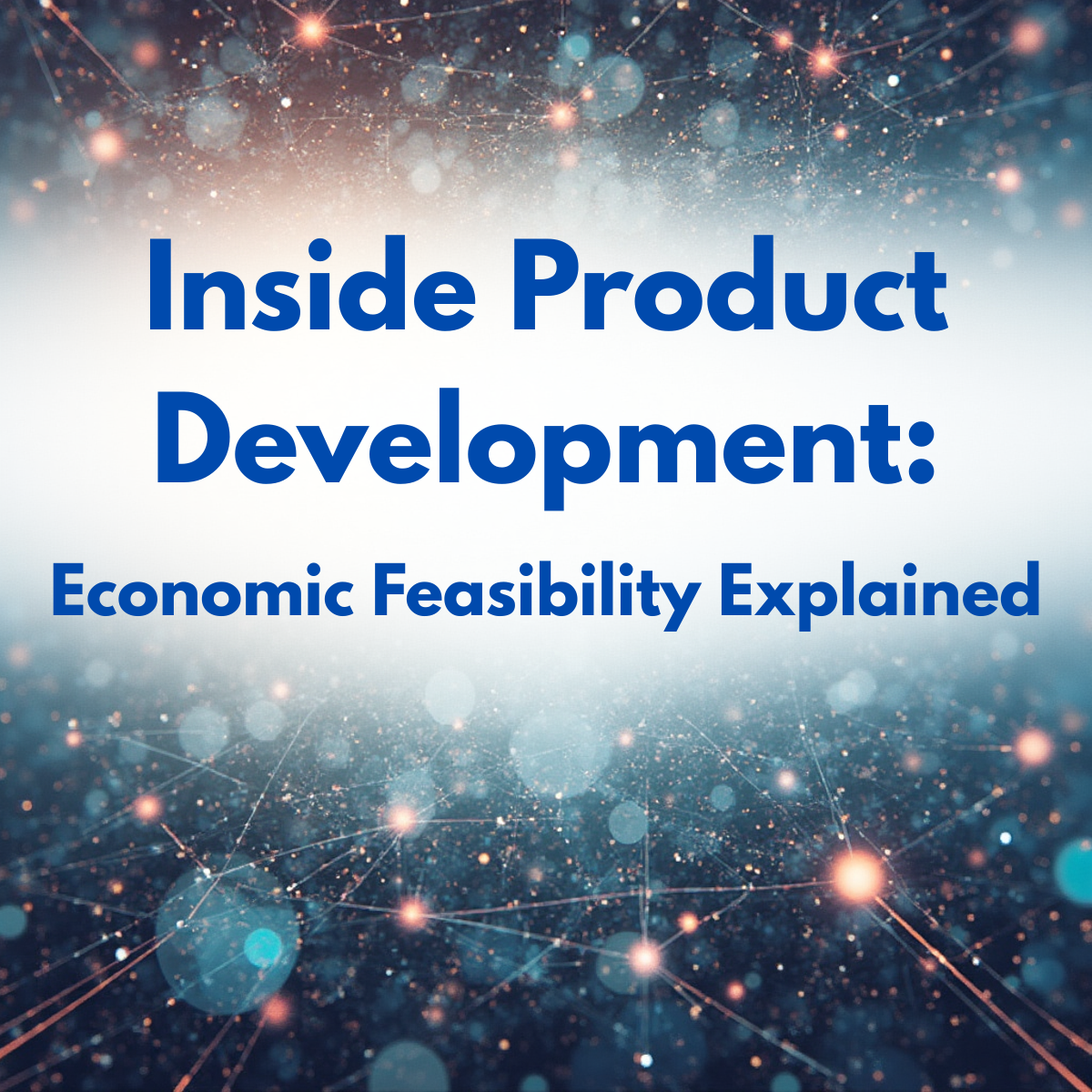 𝐈𝐧𝐬𝐢𝐝𝐞 𝐏𝐫𝐨𝐝𝐮𝐜𝐭 𝐃𝐞𝐯𝐞𝐥𝐨𝐩𝐦𝐞𝐧𝐭: 𝐄𝐜𝐨𝐧𝐨𝐦𝐢𝐜 𝐅𝐞𝐚𝐬𝐢𝐛𝐢𝐥𝐢𝐭𝐲 𝐄𝐱𝐩𝐥𝐚𝐢𝐧𝐞𝐝