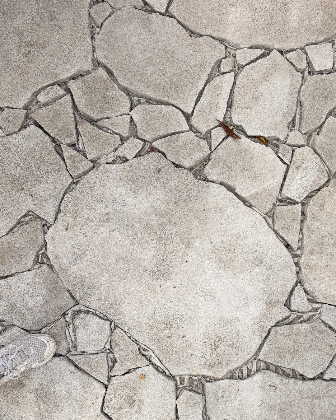 Windsor Terrace | Studio 🛠️

The team has now moved onto the renovation of the rear garage, with the studio above beginning to take shape. The garage has been repositioned to the left of the site, allowing for a more resolved layout and a generous s