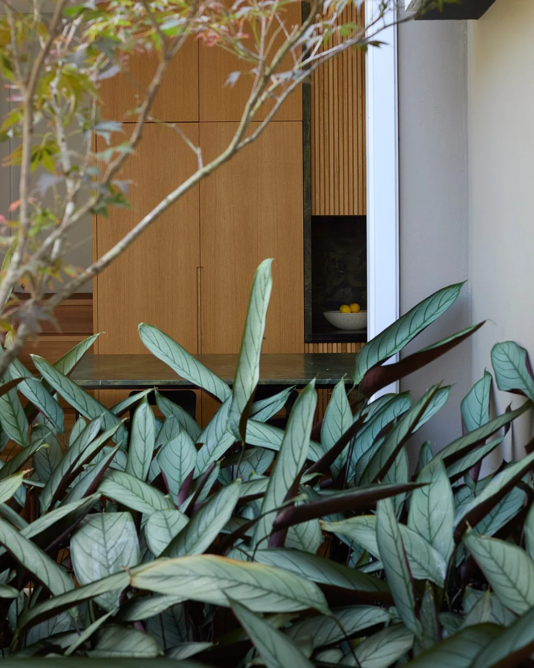 Edward Street | Client Brief

At the heart of the brief was a desire to reimagine the kitchen as a refined, functional centrepiece of the home. The focus was on improving flow and strengthening the connection to the surrounding garden and bushland.

