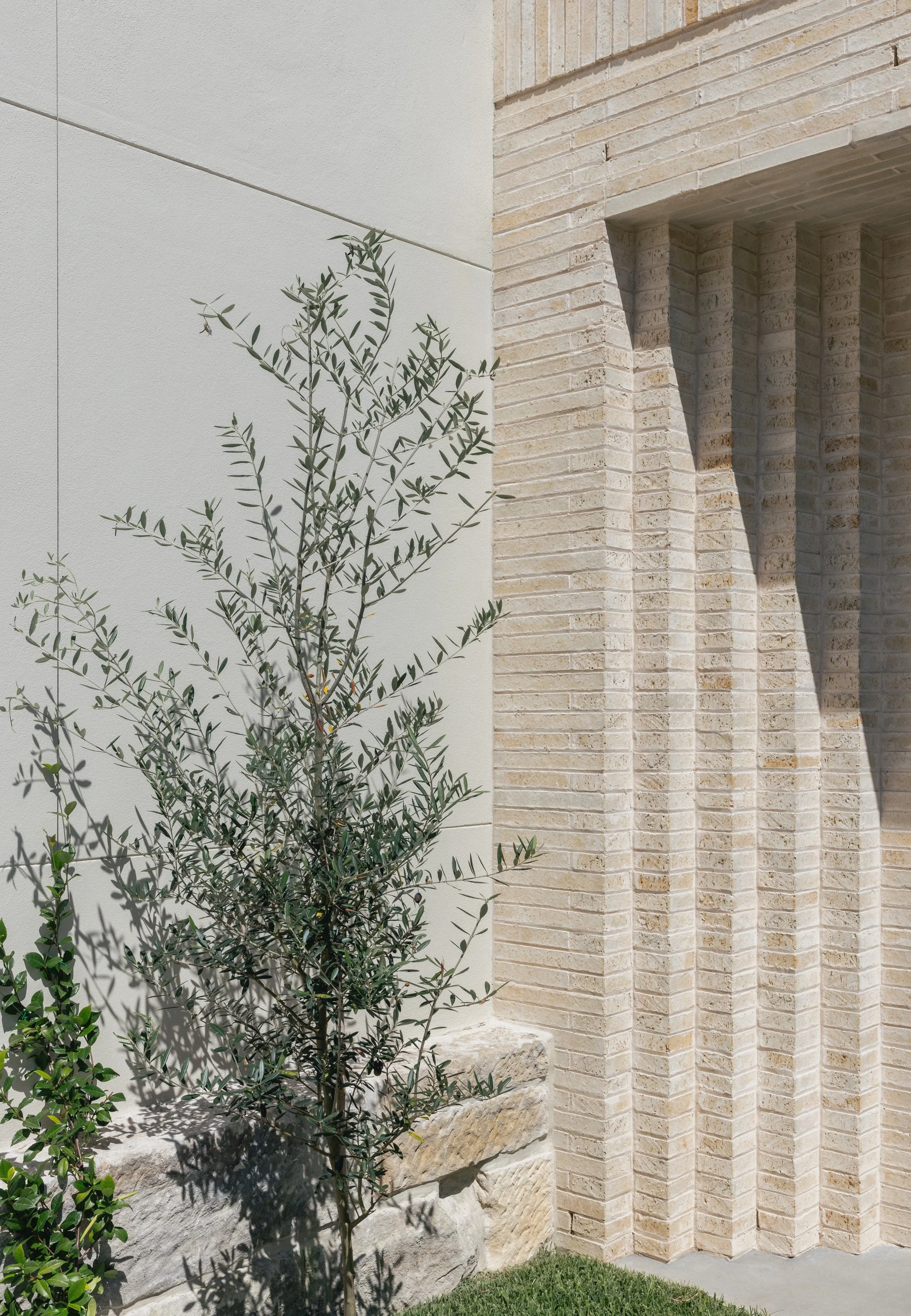 Modify Homes Moncur House Sydney Living Room Modern Extension