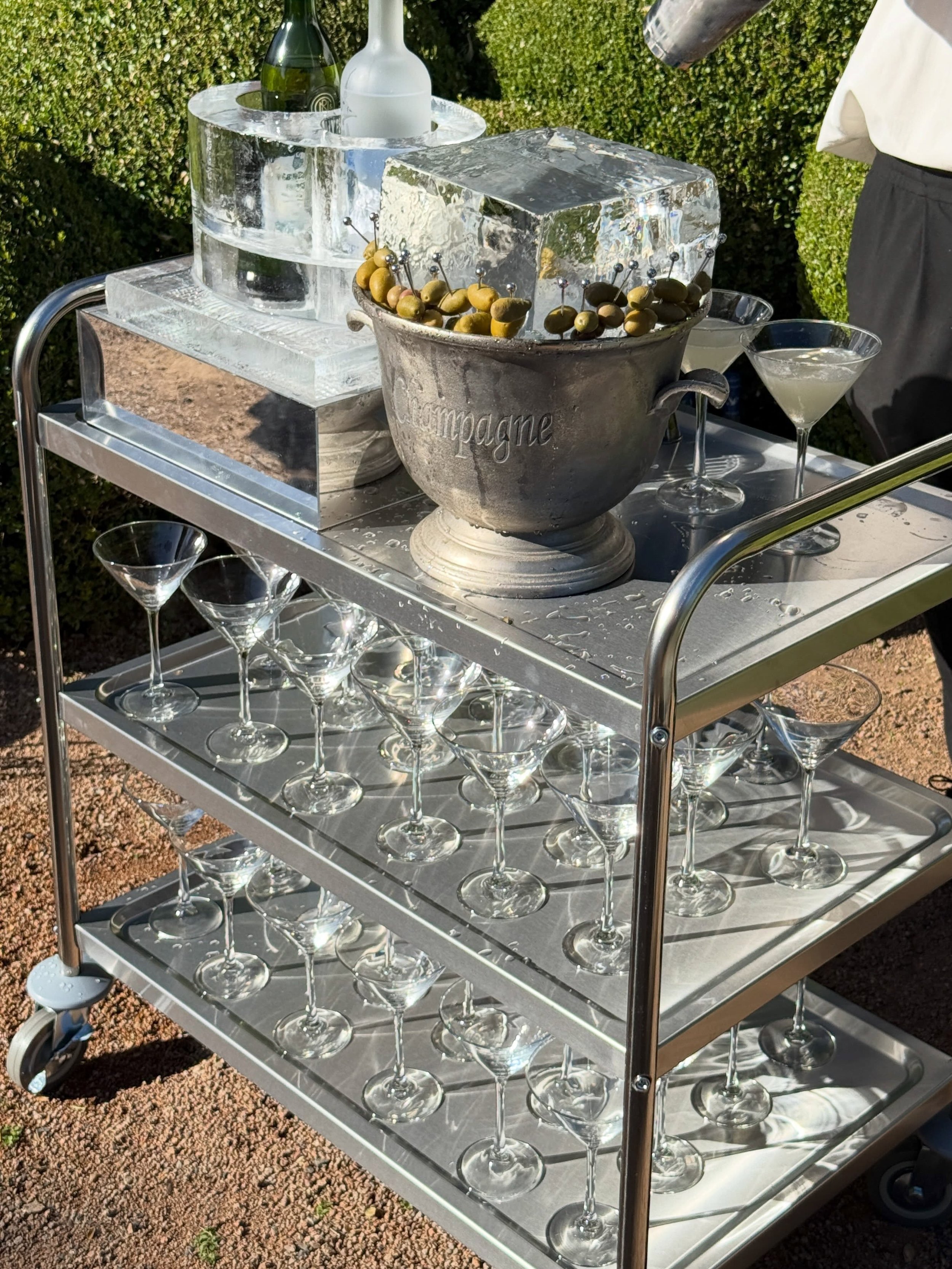 Dirty Martinis. Caviar. Champagne. Raw Bar. Sgroppino. Ice Sculpture.

Planner, stylist, florals and stationery @prettyinwhiteevents_ 
Photographer @kyle.ingram 
Videographer @ethanhartfilms 
Content creator @madelineanne_creator 
Entertainment @jess