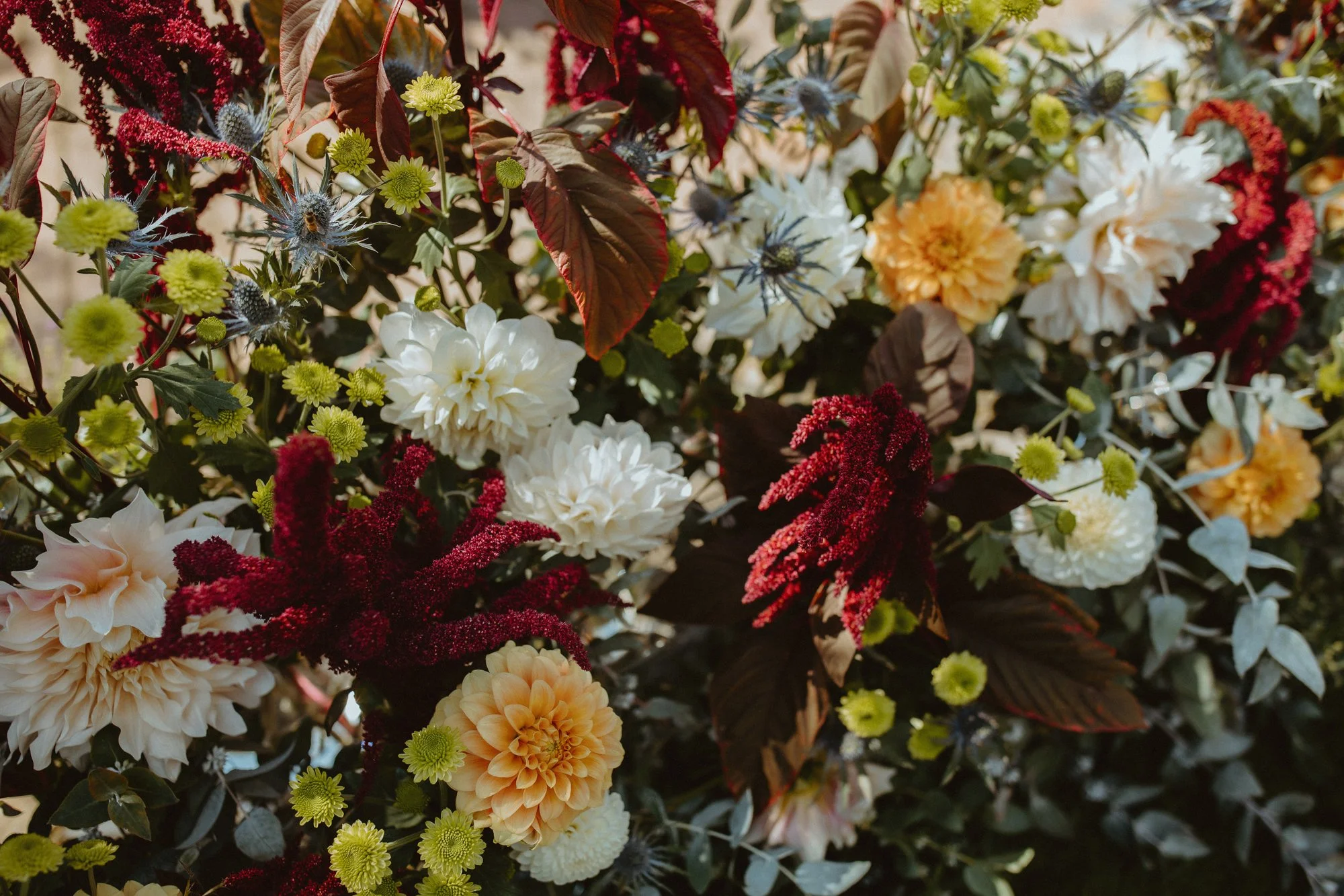 tasmanian_photographer_launceston-53.jpg