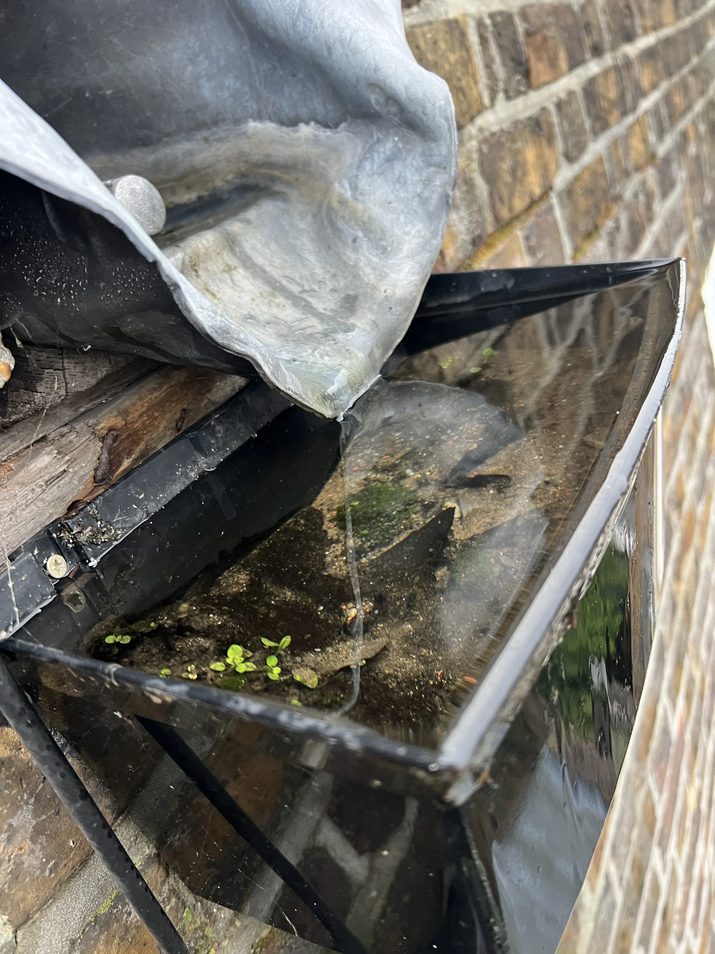 close-up of a black metal container with rainwater and green plants inside, mounted on a brick wall under a grey tarpaulin