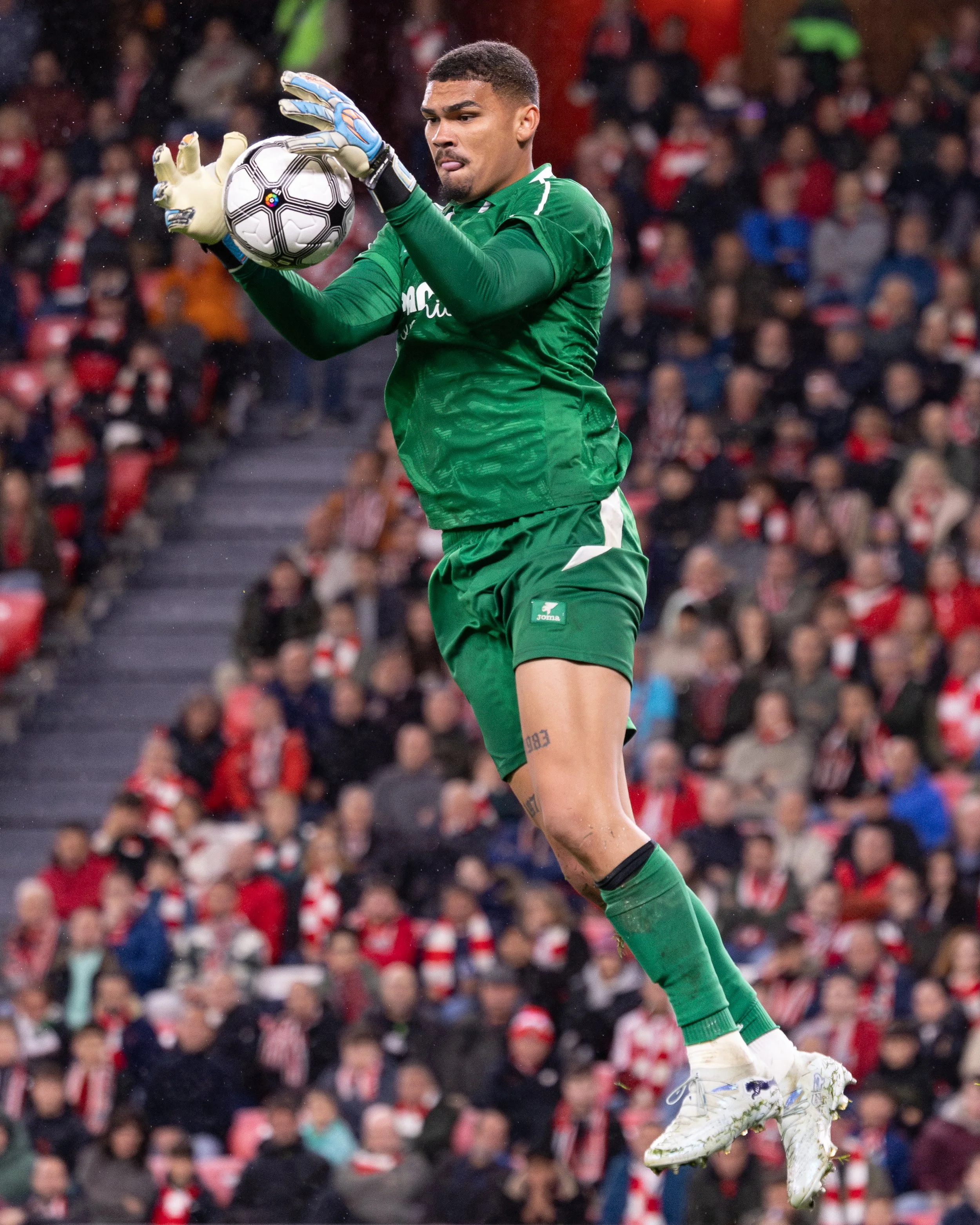 Copyright: Marcos Calvo