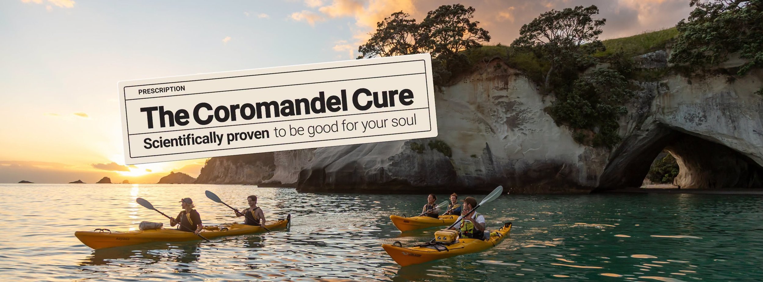 Coromandel Cure