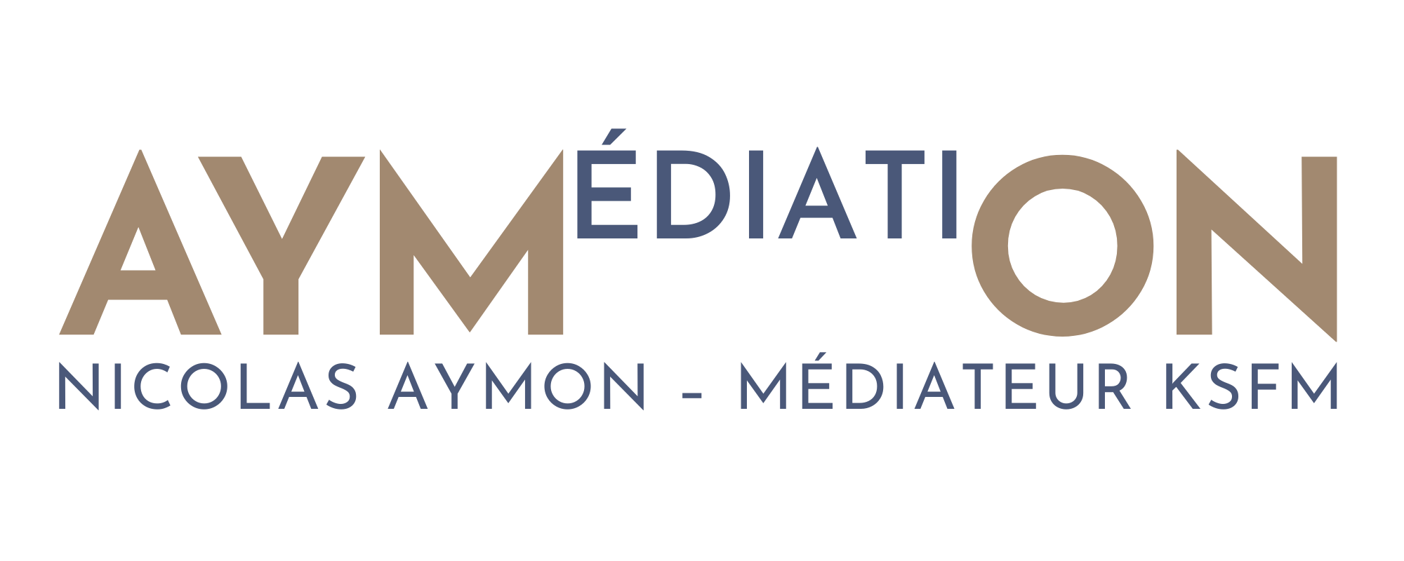 AM - Logo basic PNG.png