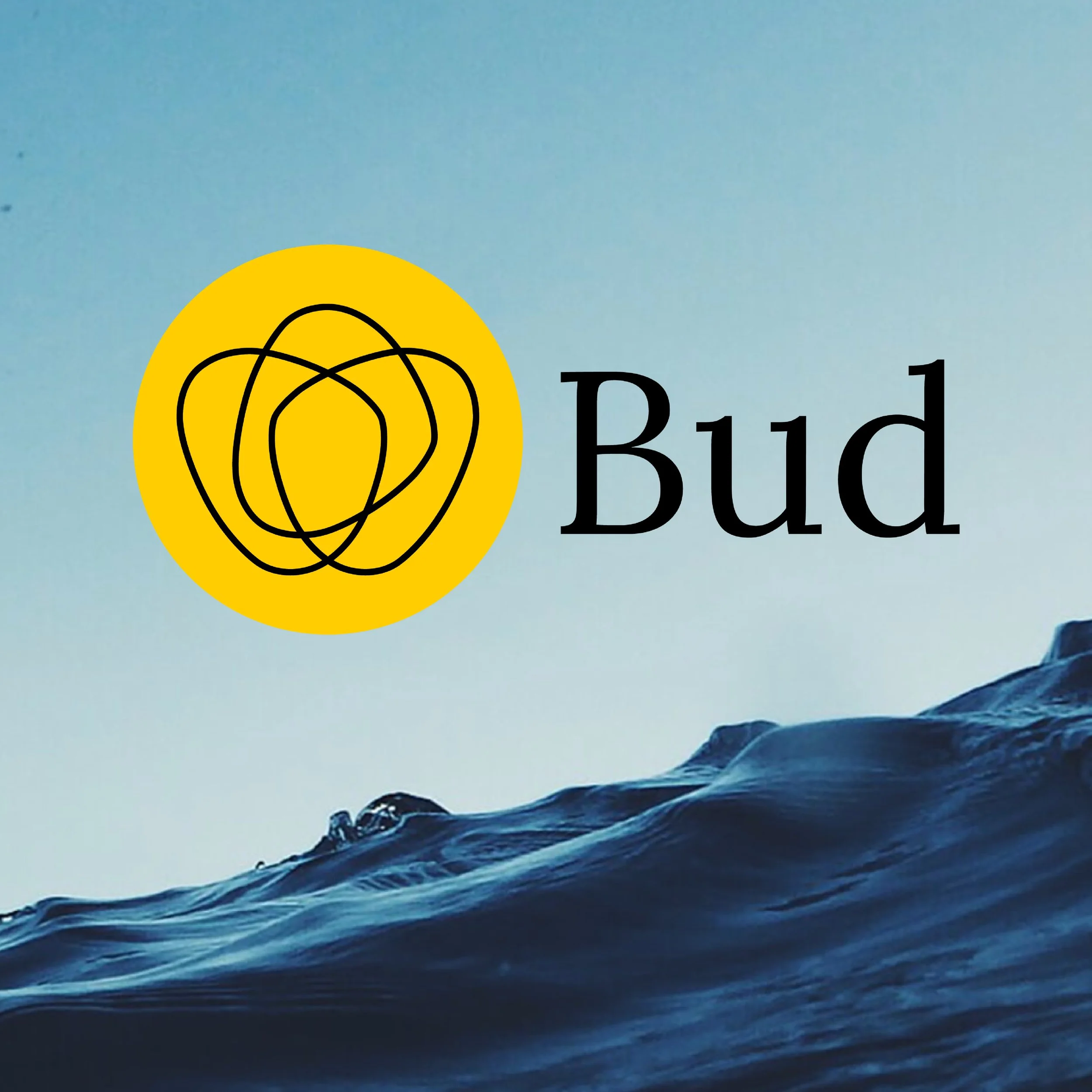 14_Insta_Bud.jpg