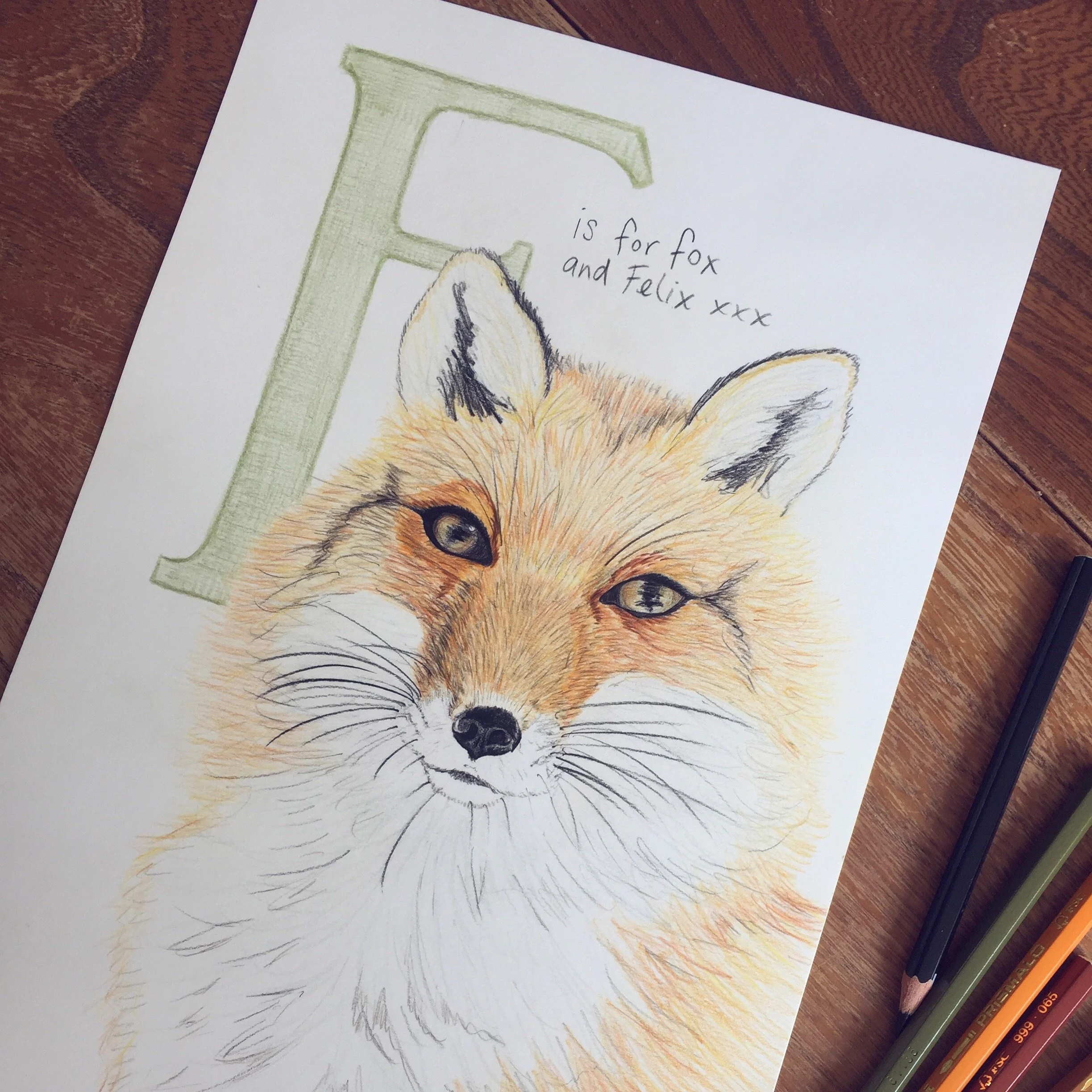 HandDrawn_Fox.JPG