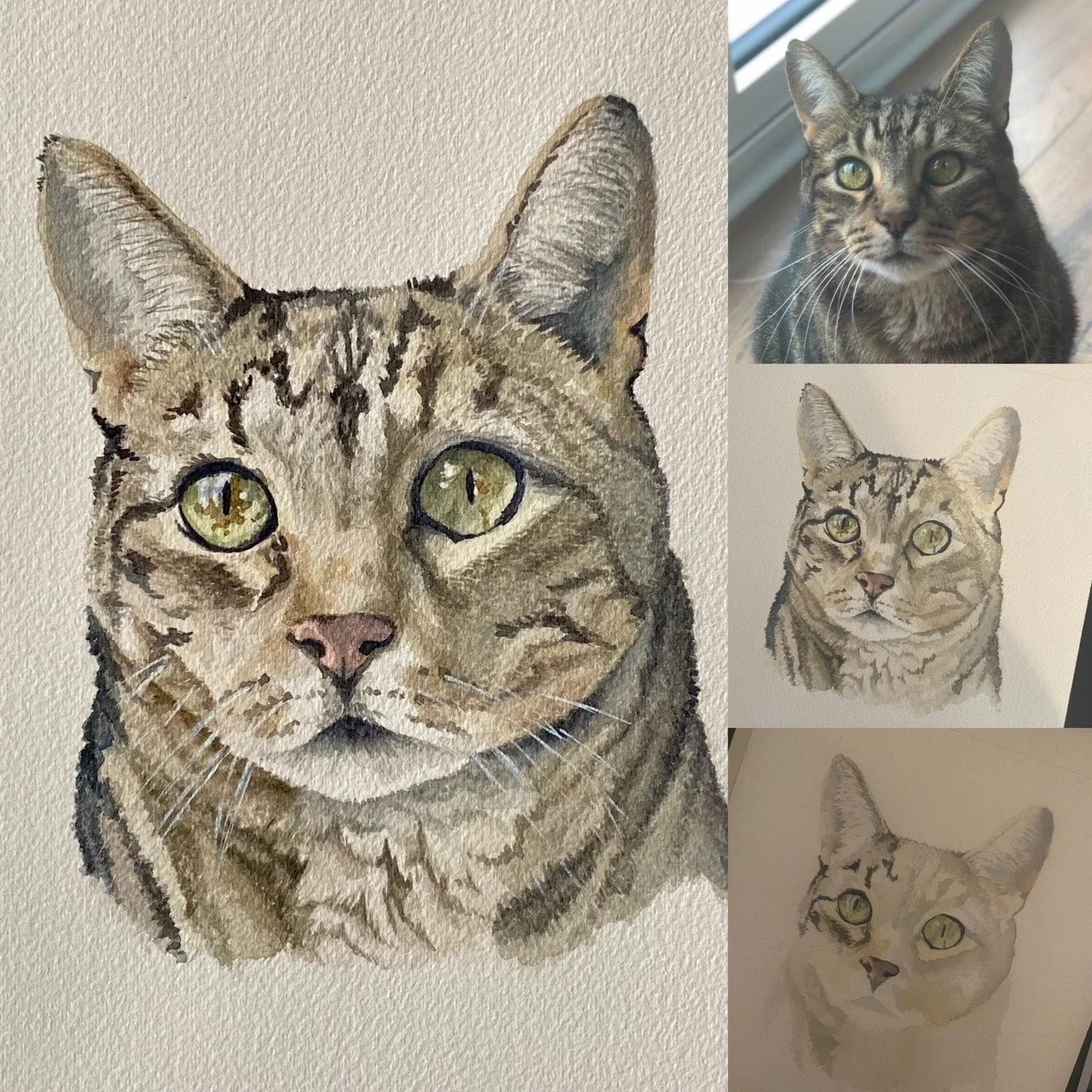 Watercolor painting of a tabby cat next to reference photos of the same cat.