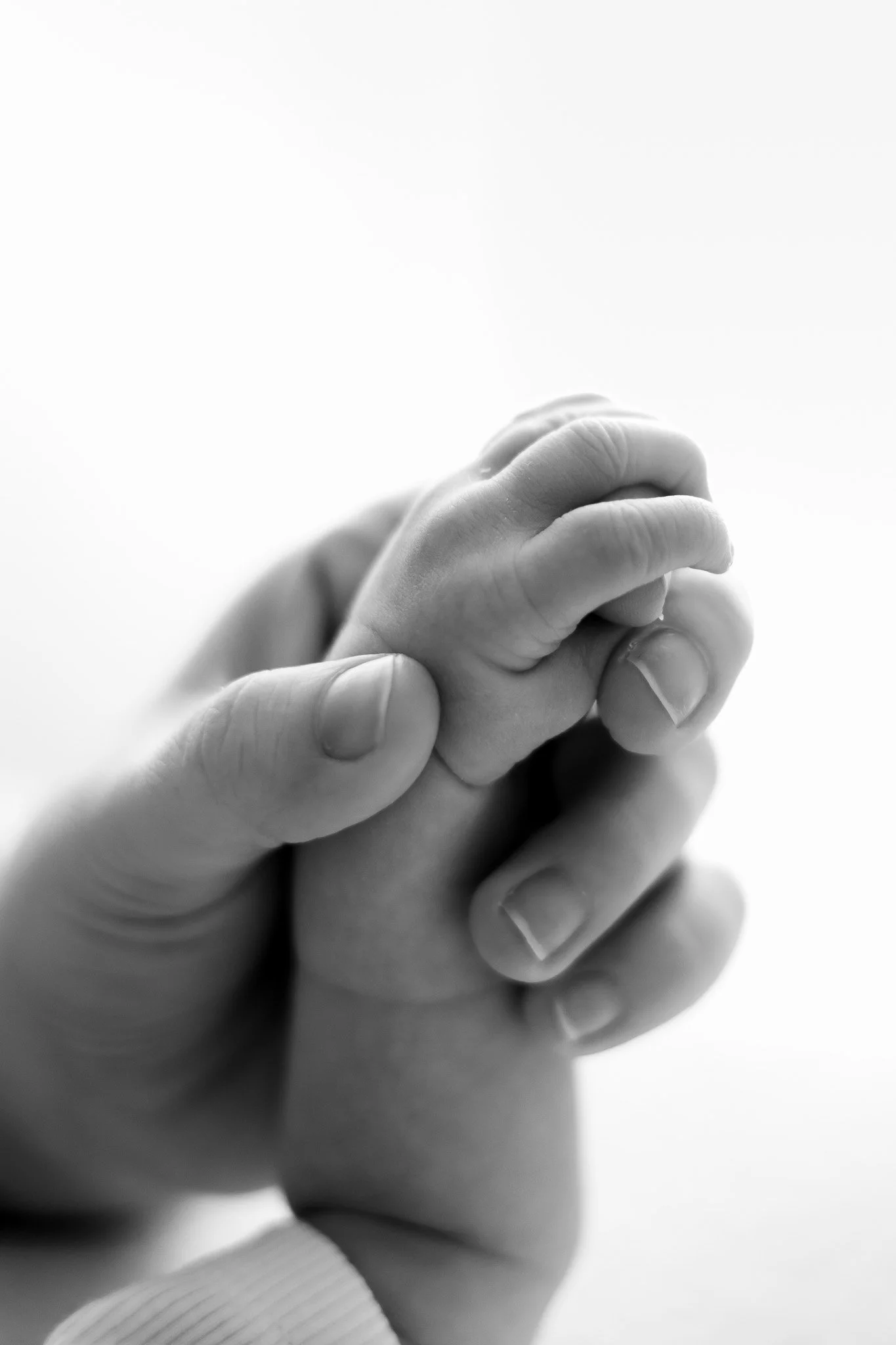 An adult hand holding a baby's hand gently in black and white.