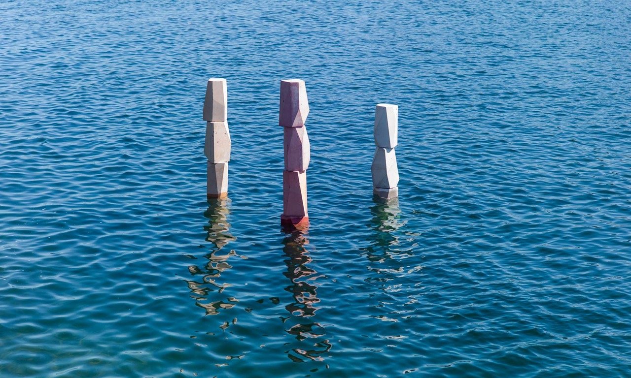 SUPERFLEX. There Are Other Fish In The Sea