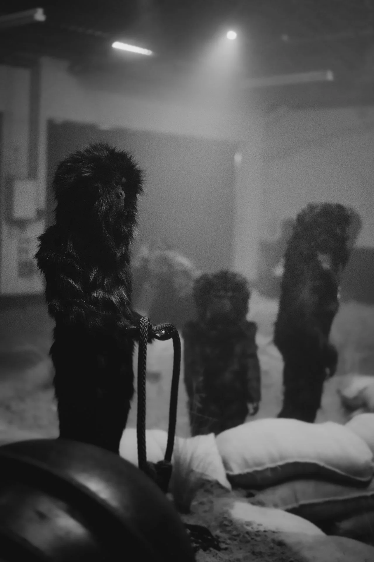 Dark Mofo 2022 (16 of 48).jpg