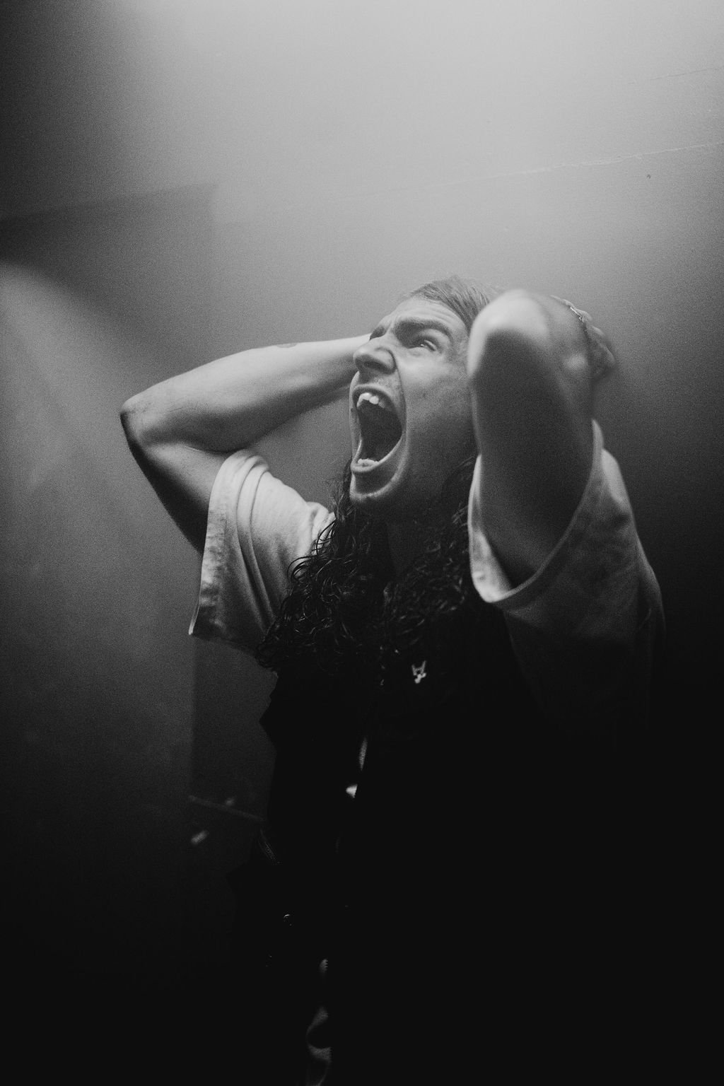 AlphaWolfVideoShoot(162of210).jpg