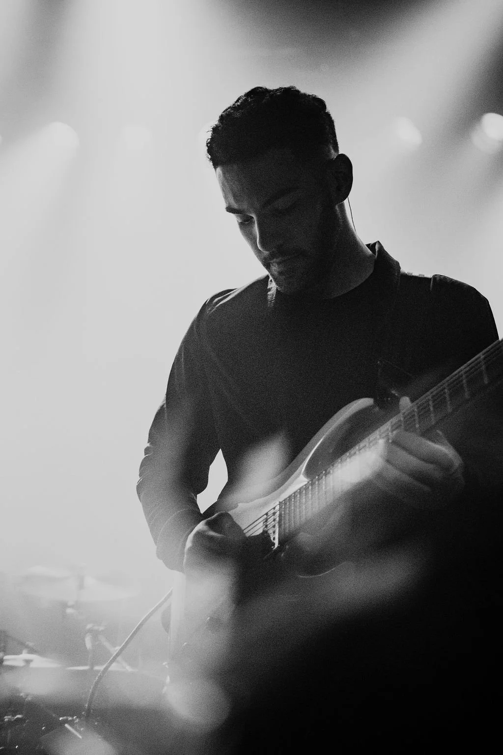 AnimalsasLeaders-6.jpg