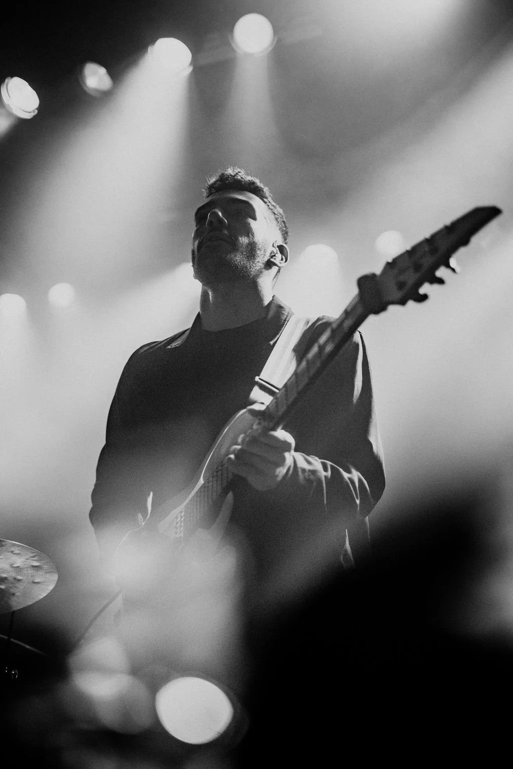 AnimalsasLeaders-7.jpg