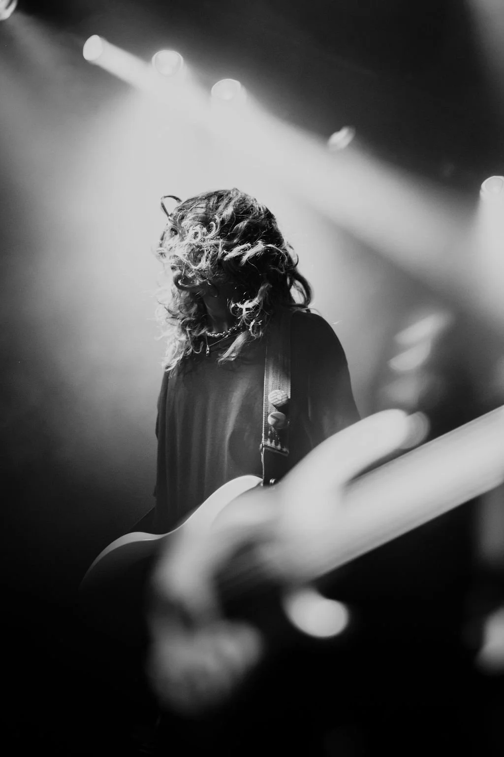 AnimalsasLeaders-8.jpg