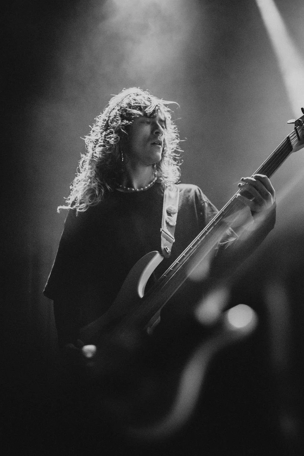 AnimalsasLeaders-10.jpg