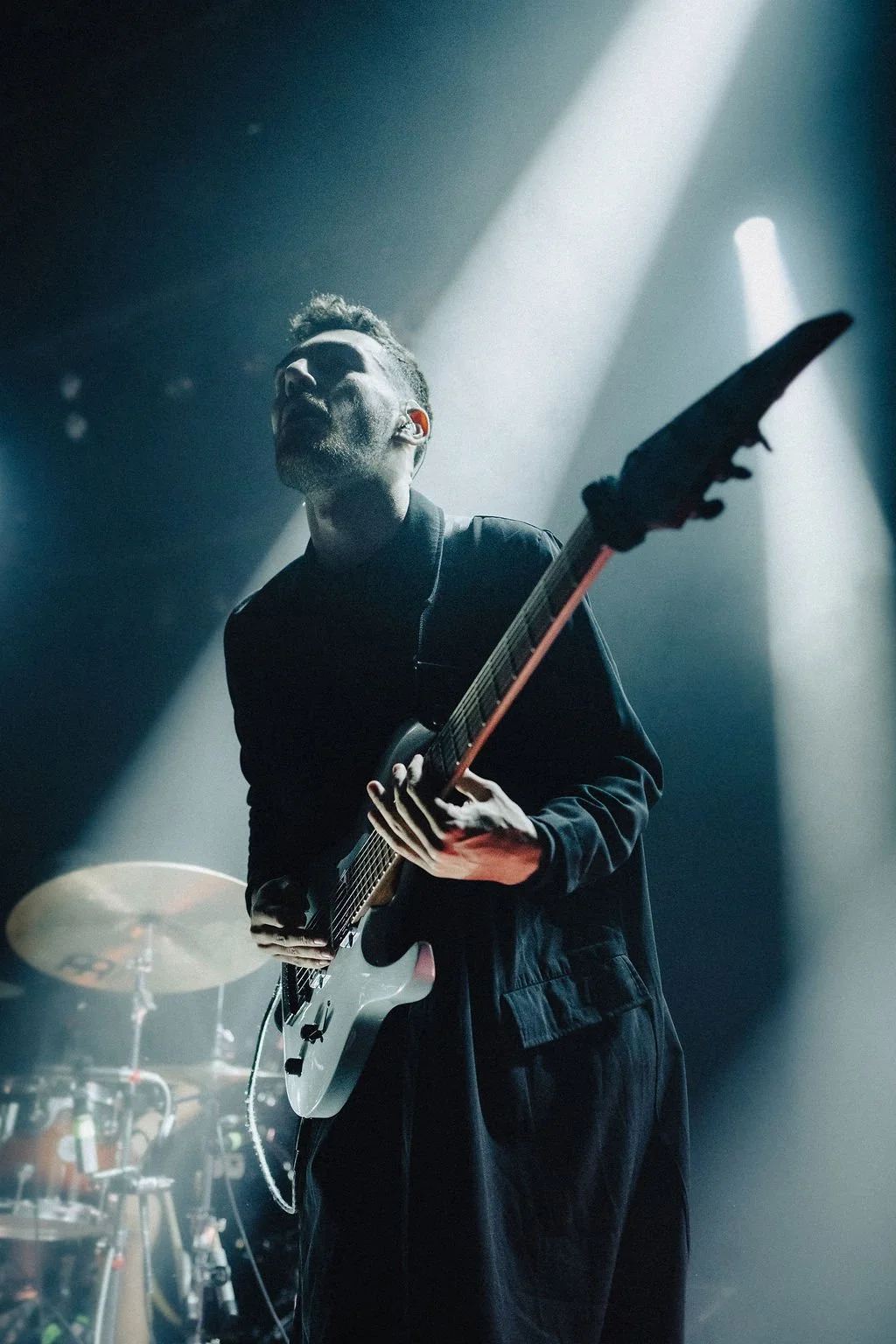 AnimalsasLeaders-20.jpg