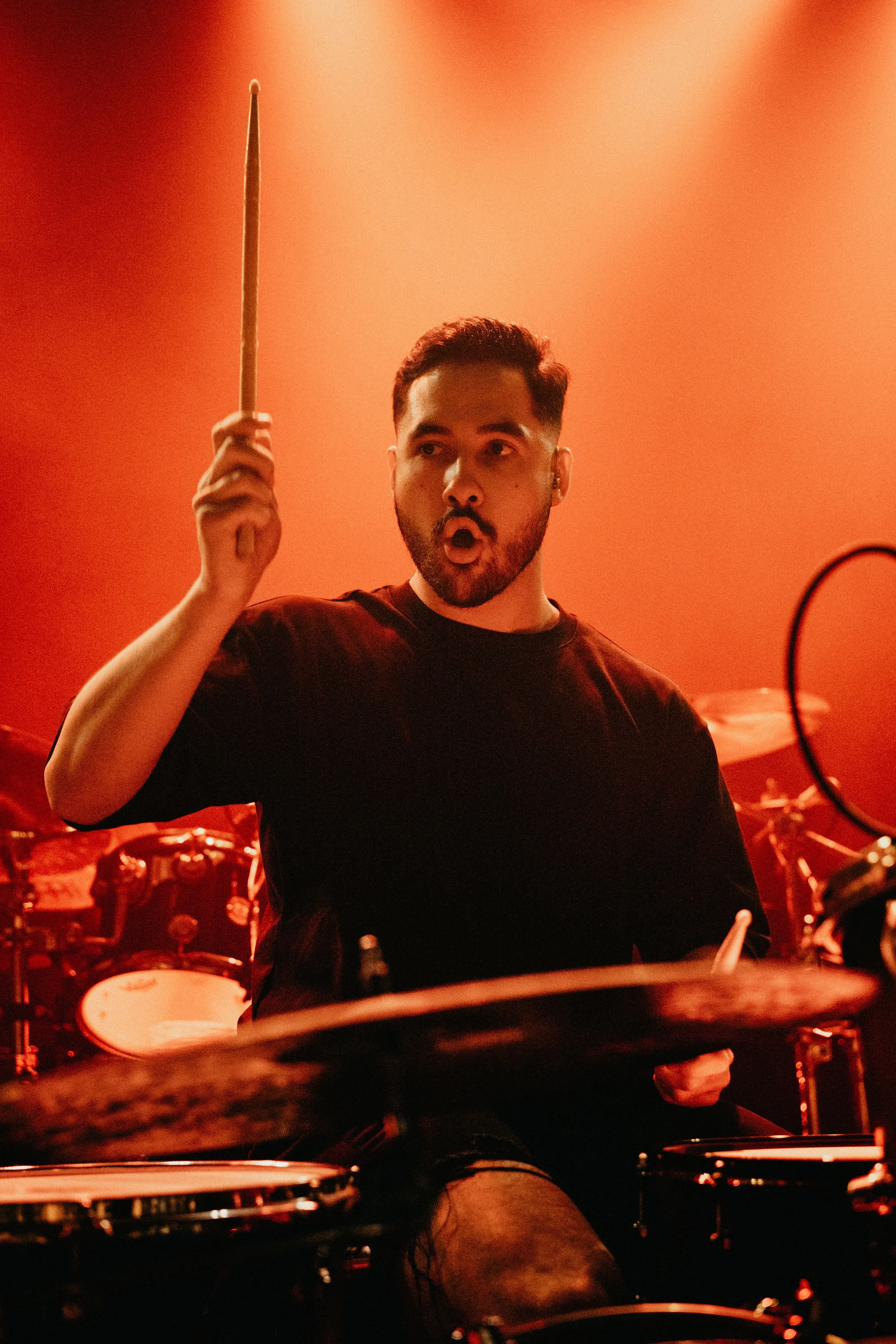 AnimalsasLeaders.jpg