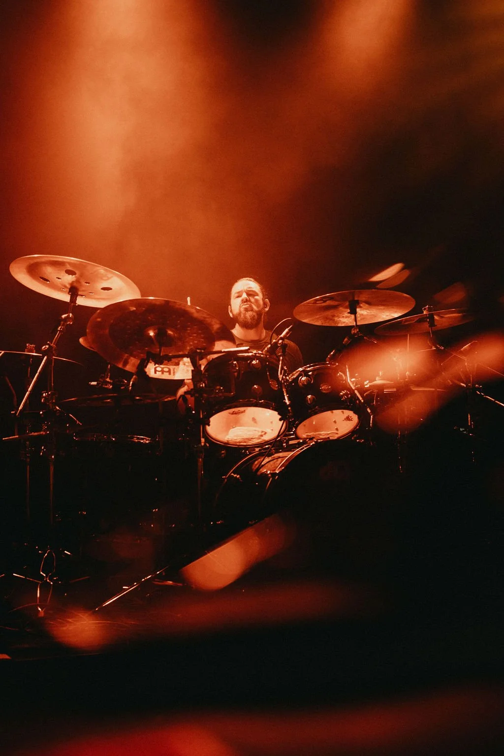 AnimalsasLeaders-33.jpg