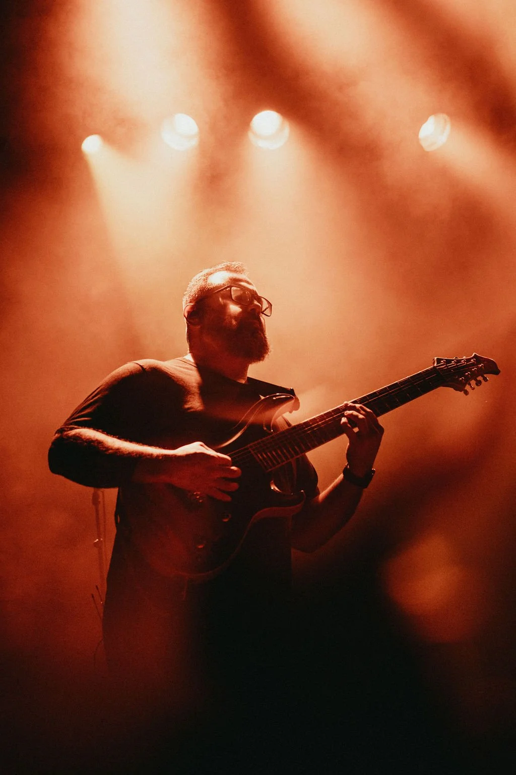 AnimalsasLeaders-40.jpg