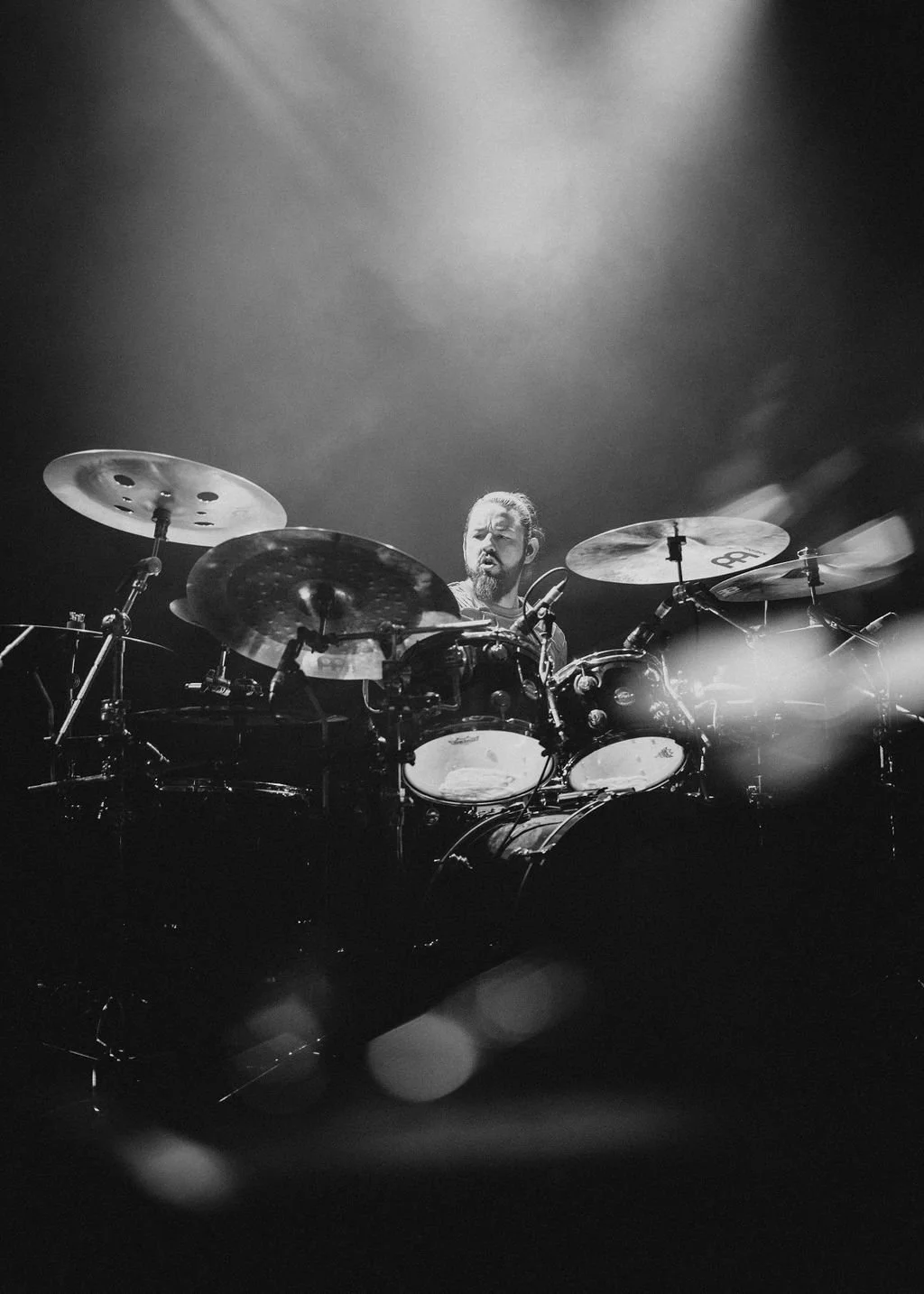 AnimalsasLeaders-22.jpg