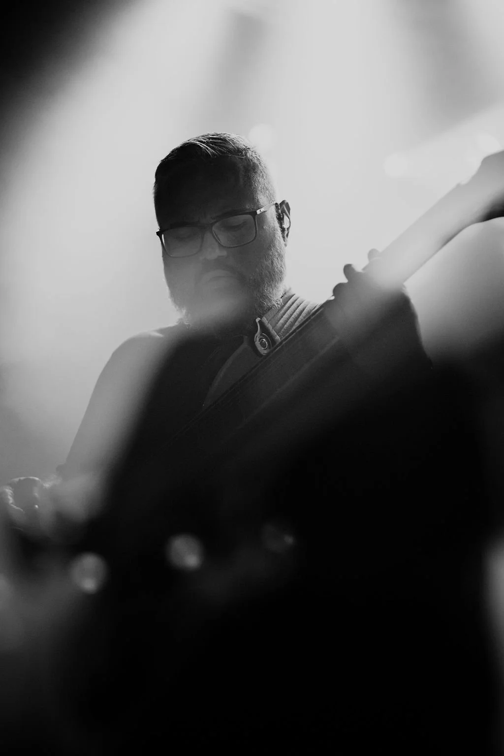 AnimalsasLeaders-25.jpg